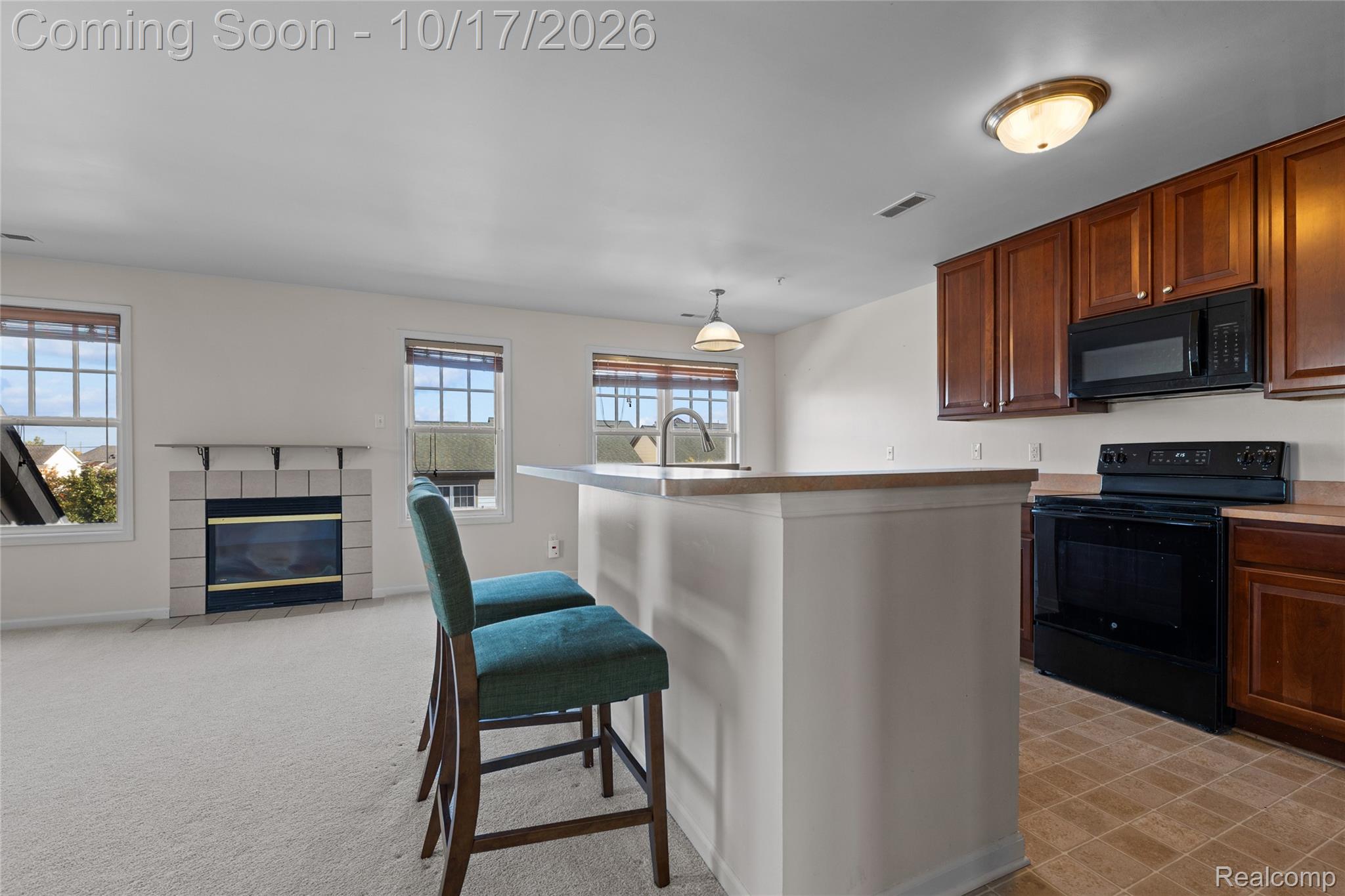 208 Amys Walk Property Photo 10