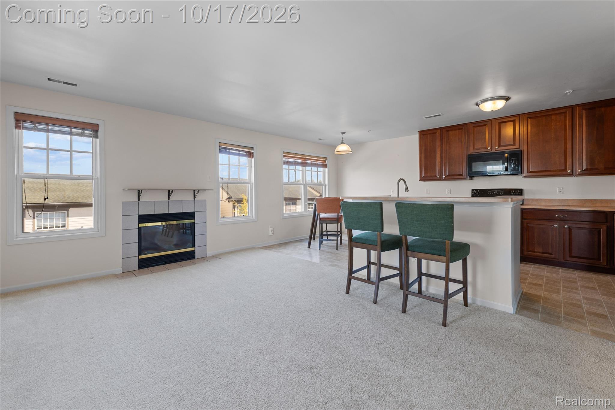 208 Amys Walk Property Photo 12