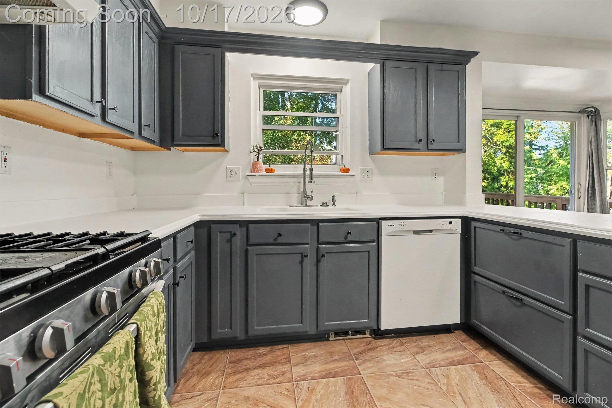30128 Apple Grove Way Property Photo 10