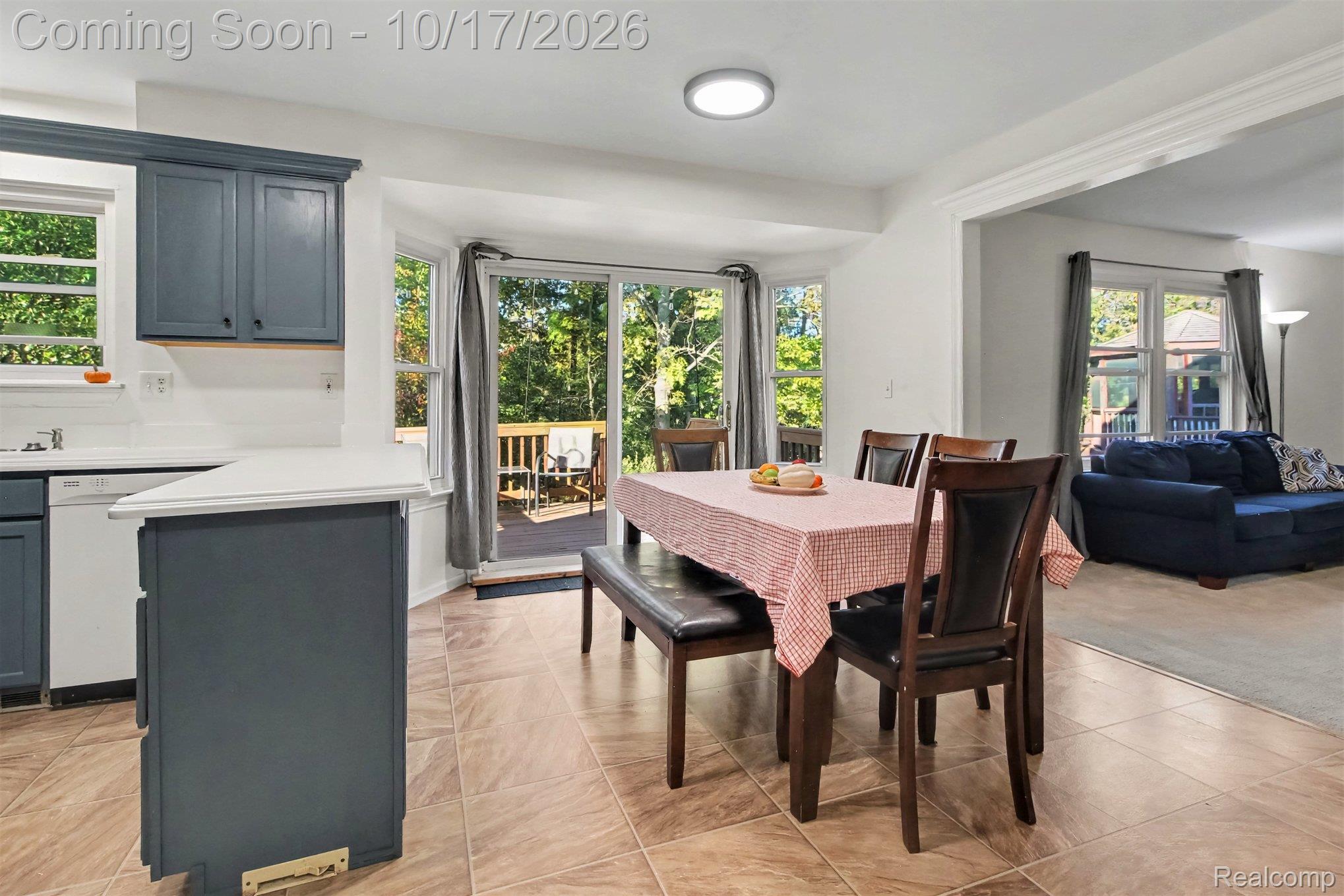 30128 Apple Grove Way Property Photo 11