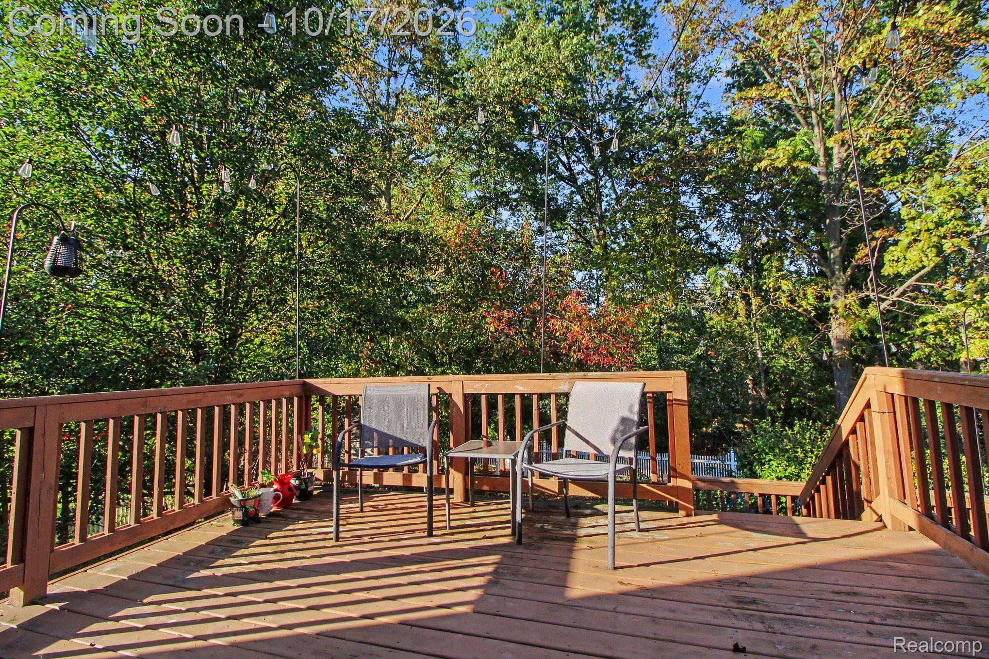 30128 Apple Grove Way Property Photo 25