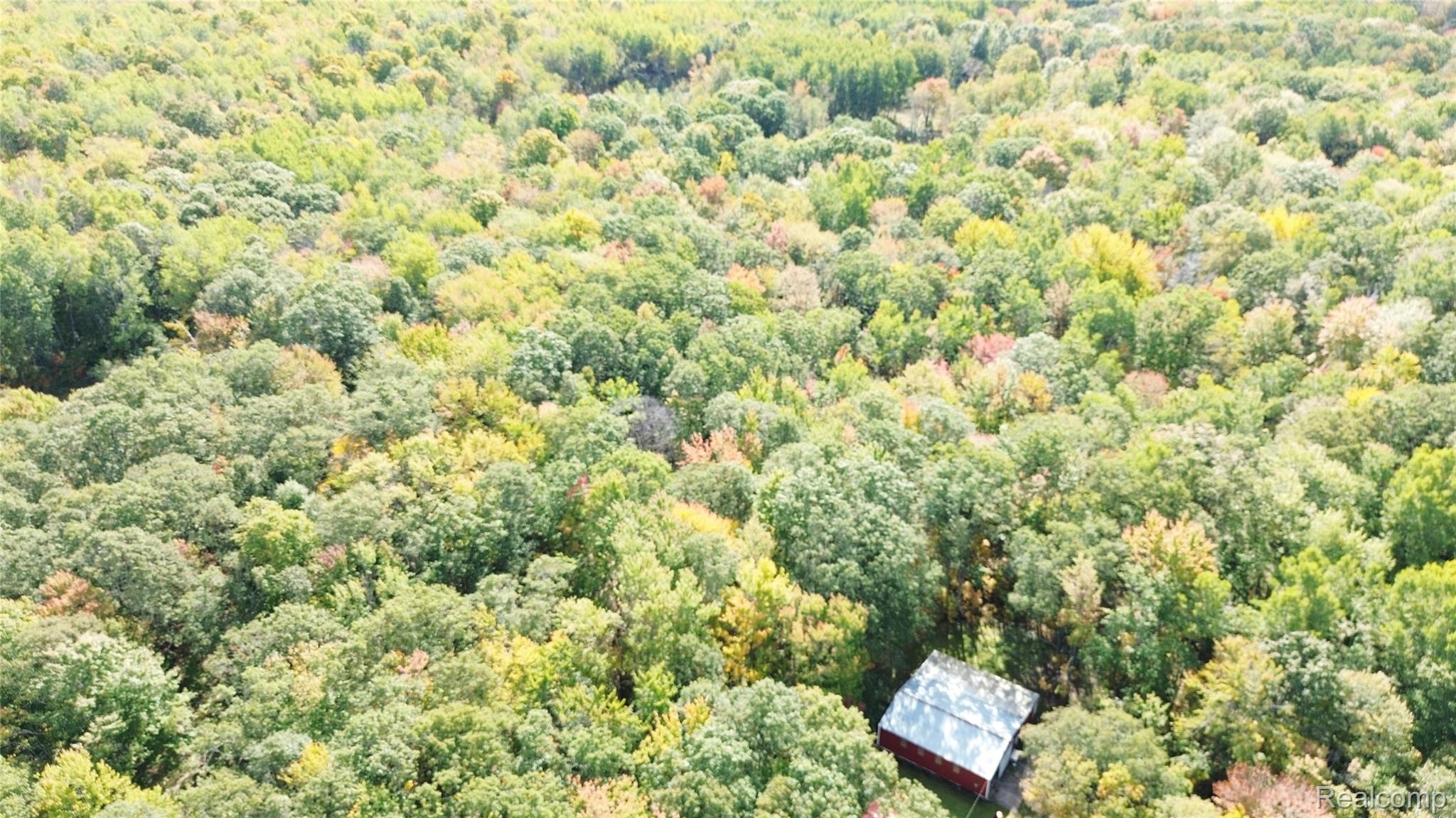 1540 Sucker Creek Rd Property Photo 40