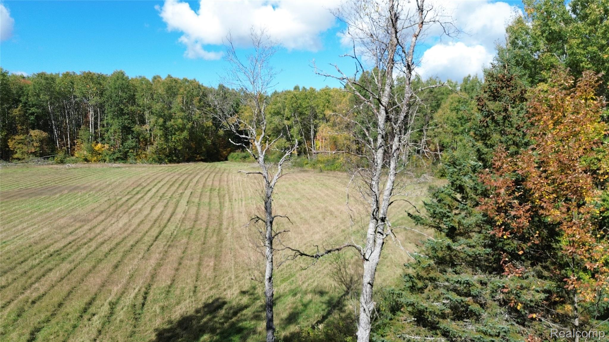 1540 Sucker Creek Rd Property Photo 44