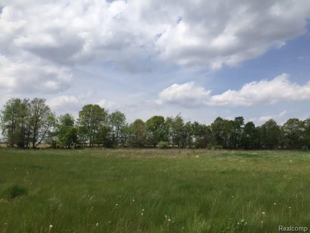 0 Adelines (lot 20) Way Property Photo 1
