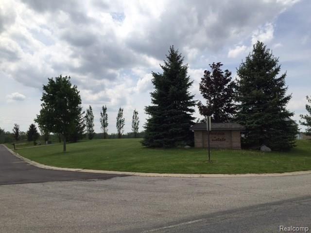 0 Adelines (lot 20) Way Property Photo 2