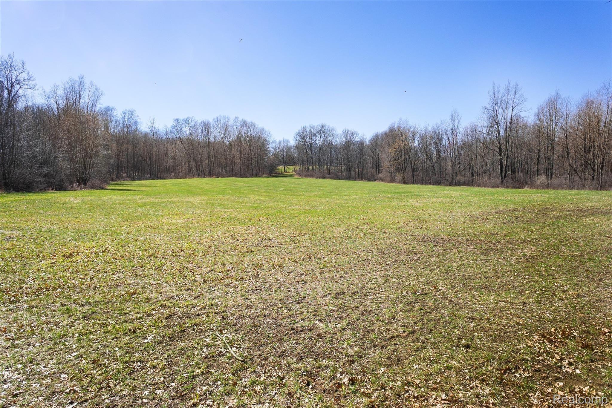 12247 Onondaga Rd Property Photo 7