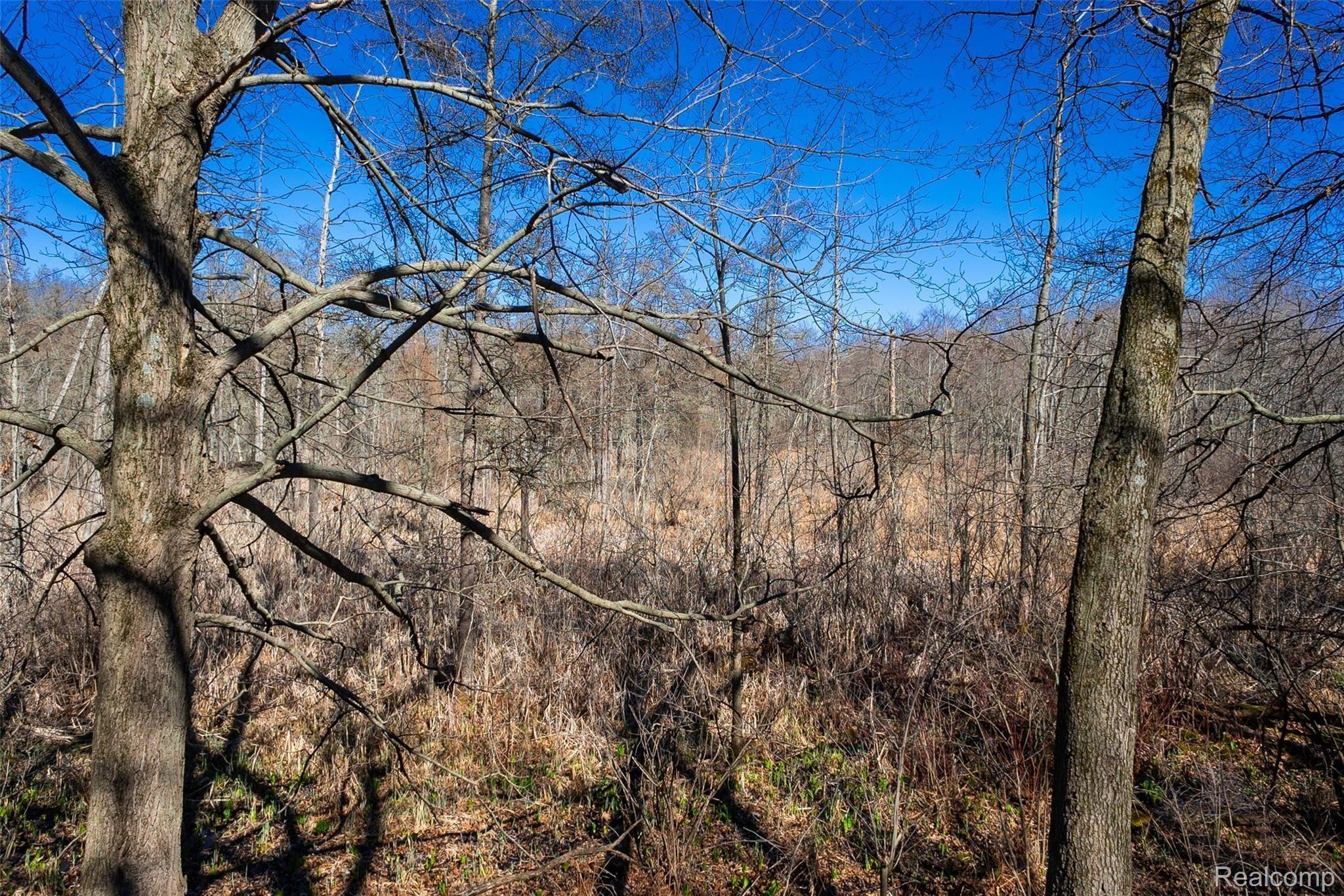 12247 Onondaga Rd Property Photo 8