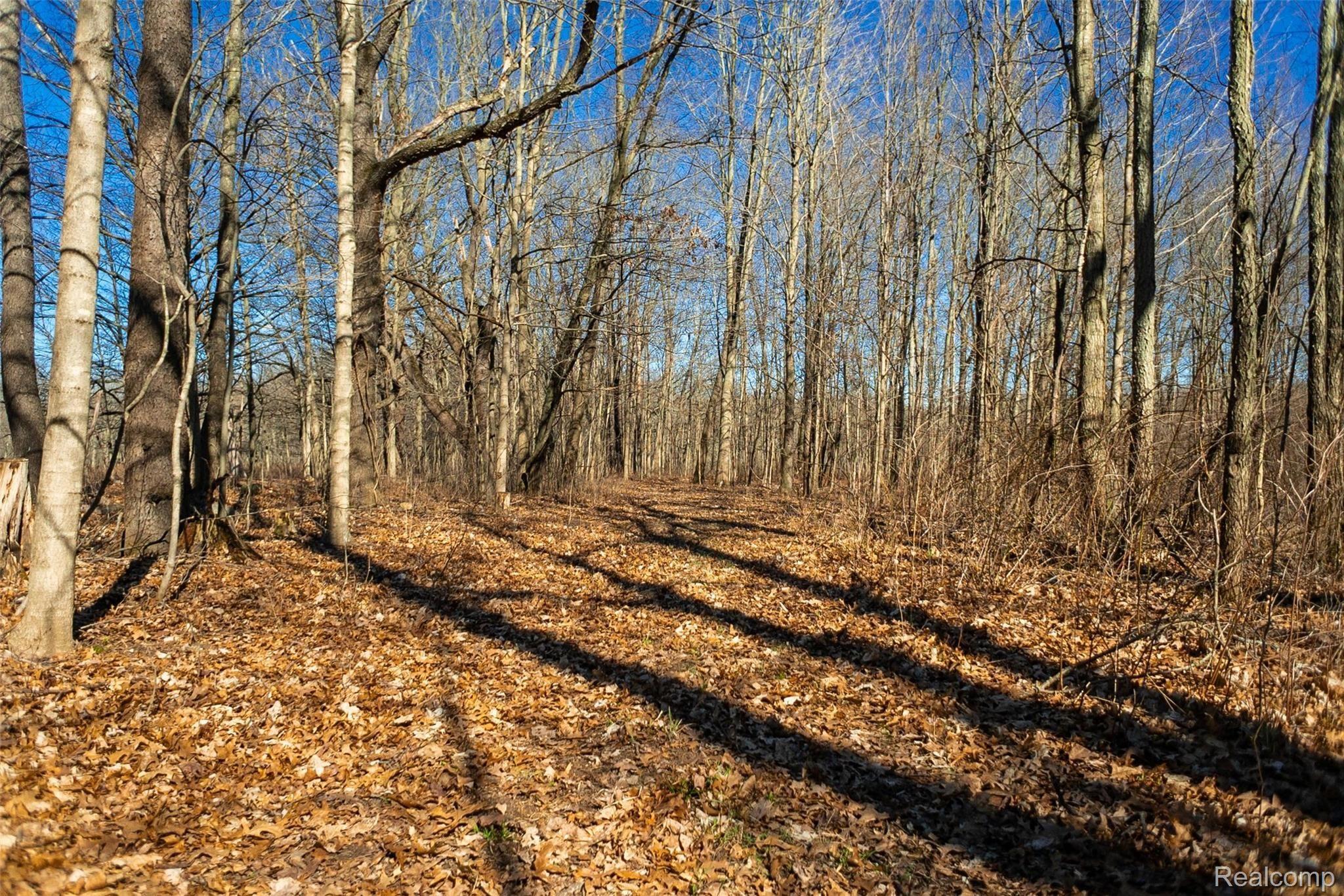 12247 Onondaga Rd Property Photo 29