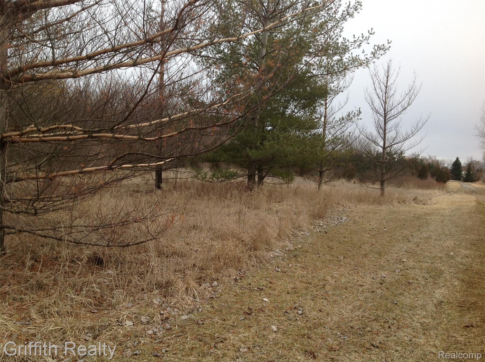 Vl Mason Rd Property Photo 3