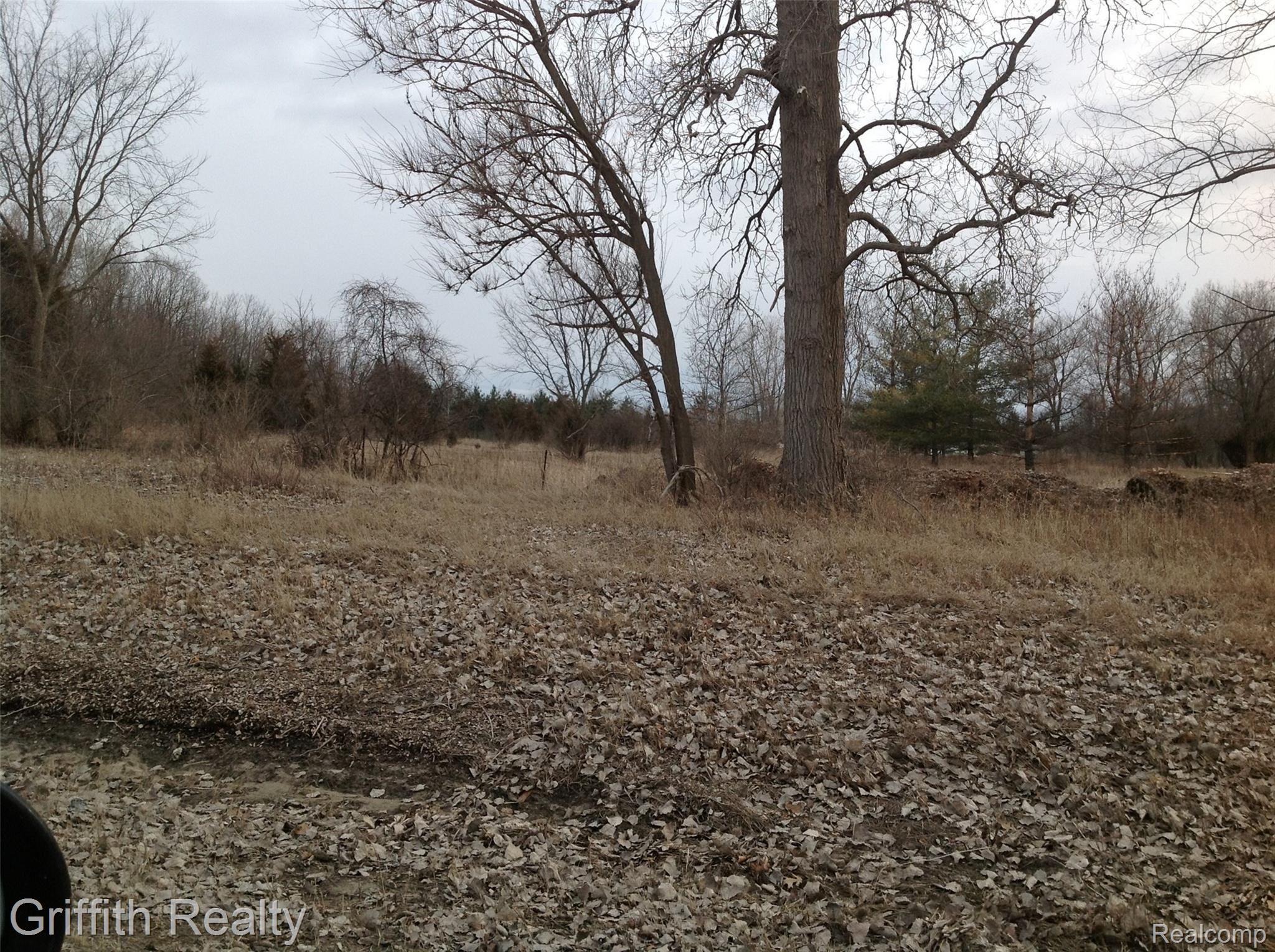 Vl Mason Rd Property Photo 4