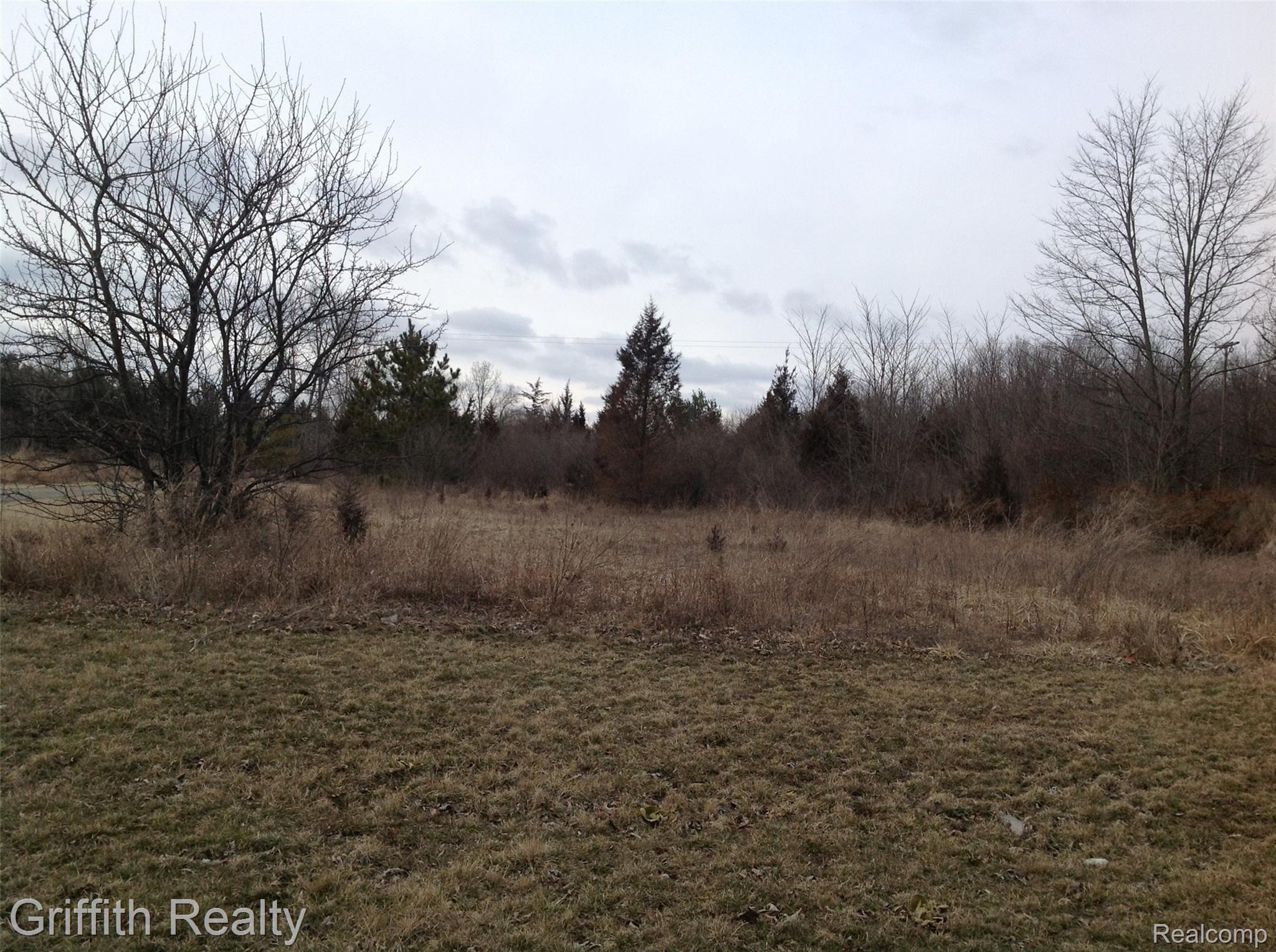 Vl Mason Rd Property Photo 5