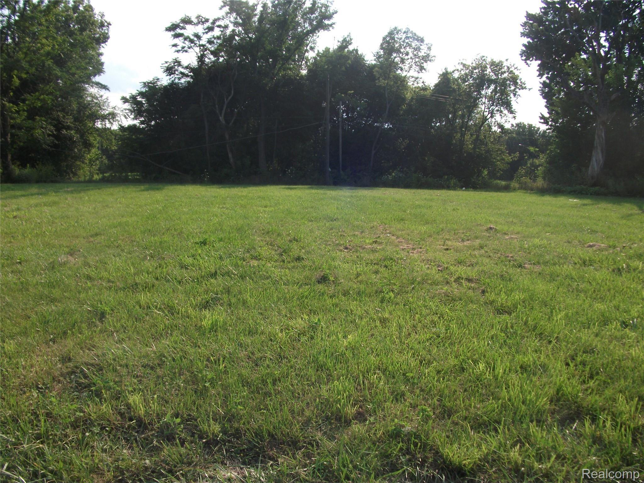 1131 Newport Property Photo 4