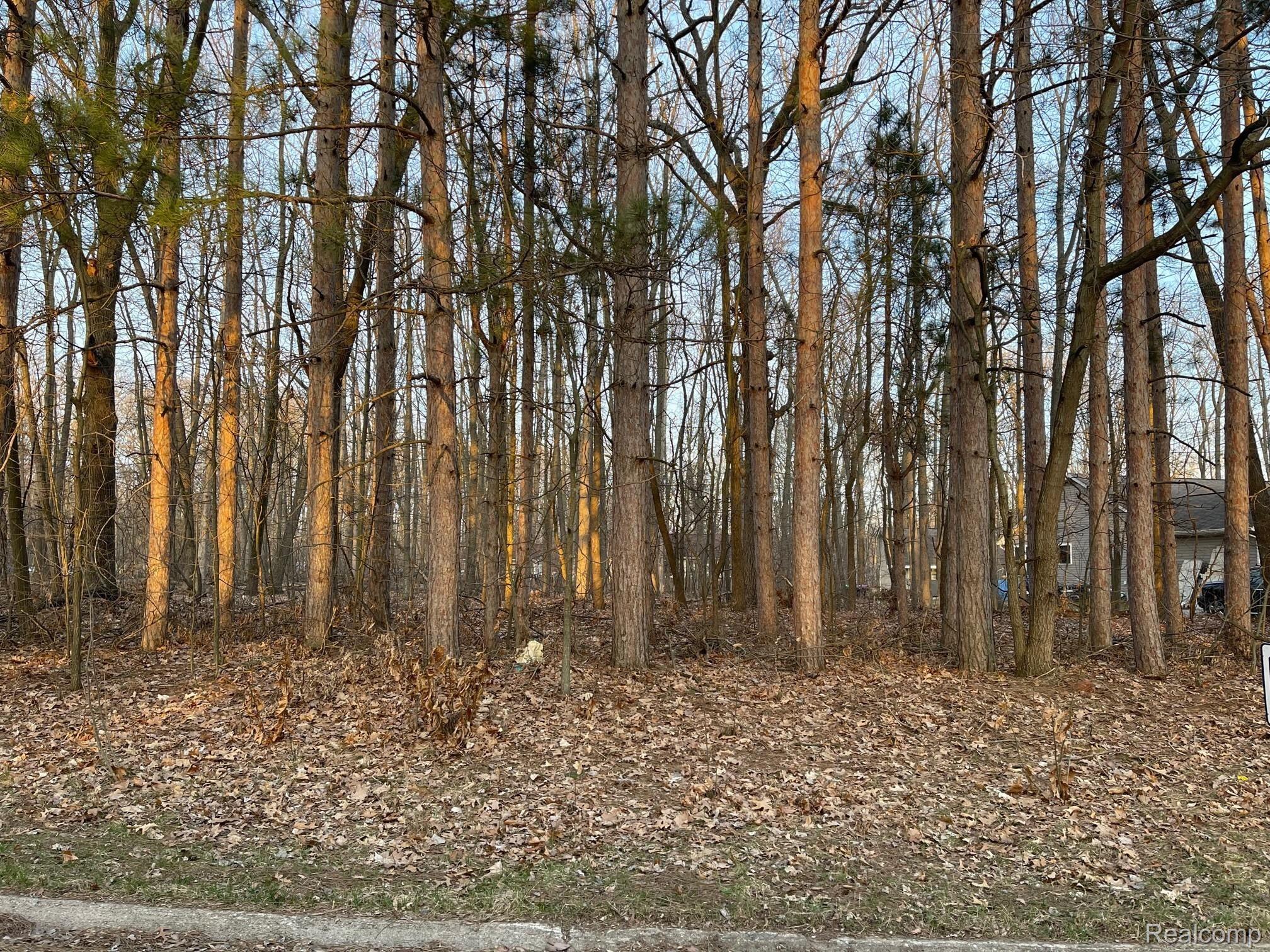 9127 Pineview Lake Property Photo 1