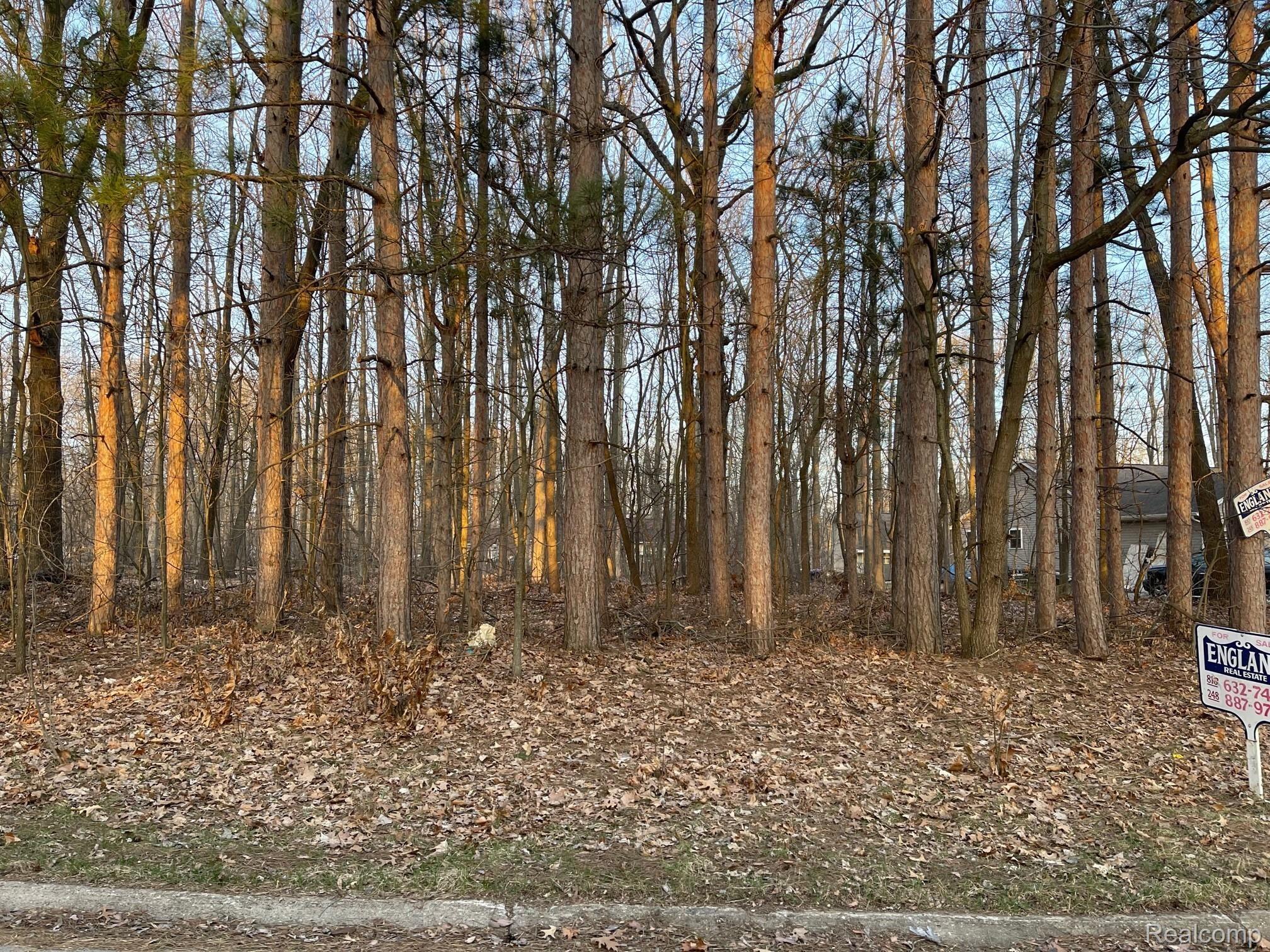 9127 Pineview Lake Property Photo 2