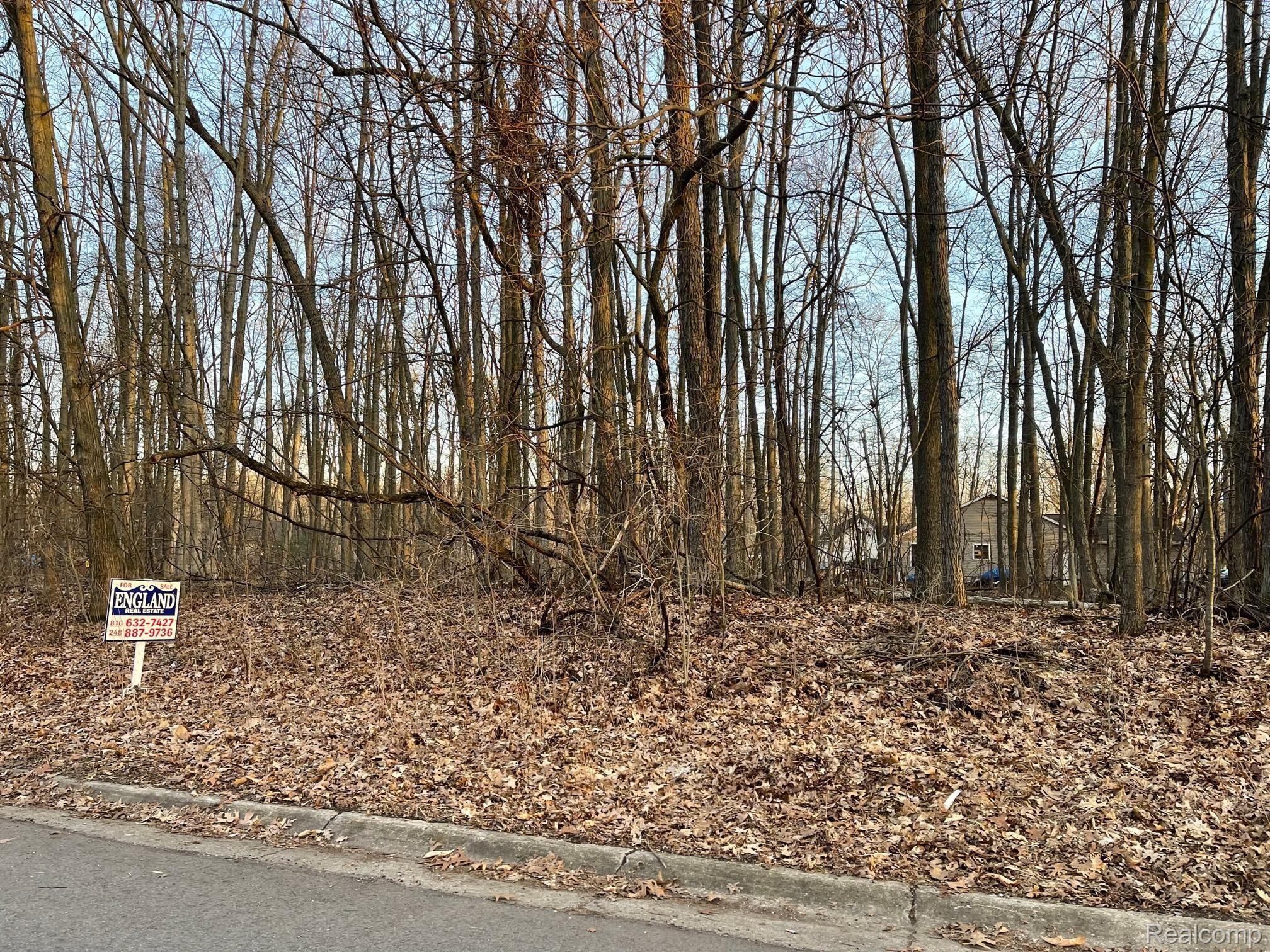 9127 Pineview Lake Property Photo 3