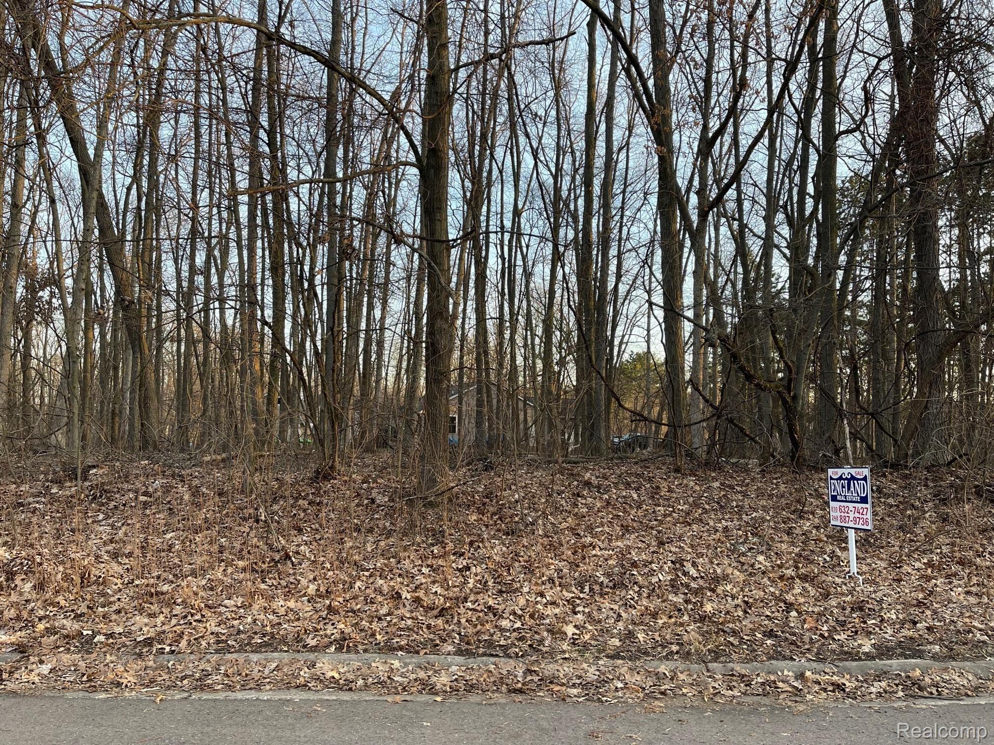 9127 Pineview Lake Property Photo 4