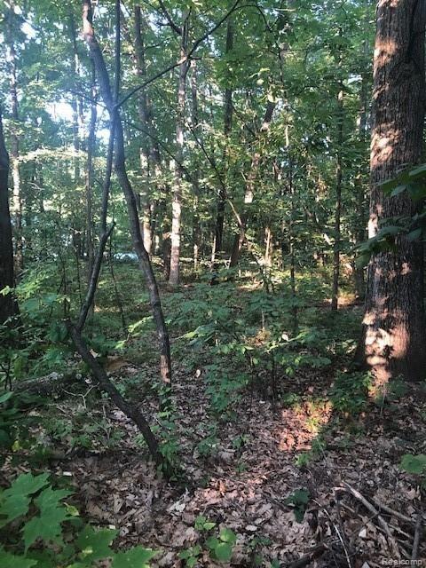 9127 Pineview Lake Property Photo 6