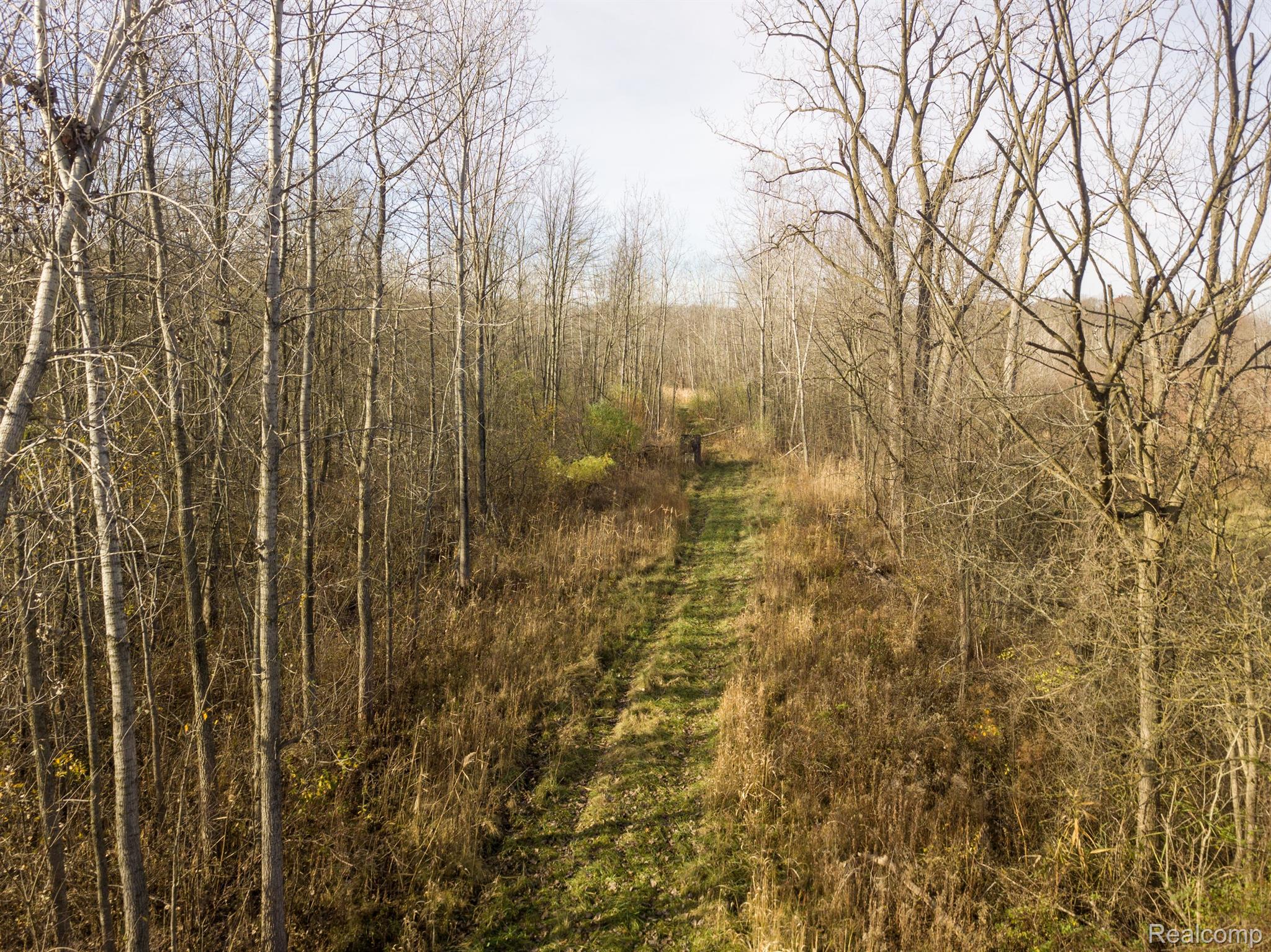 00 S Forest Property Photo 12