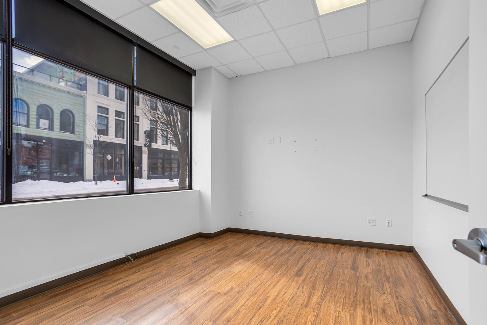 132 W Cortland Street Property Photo 16