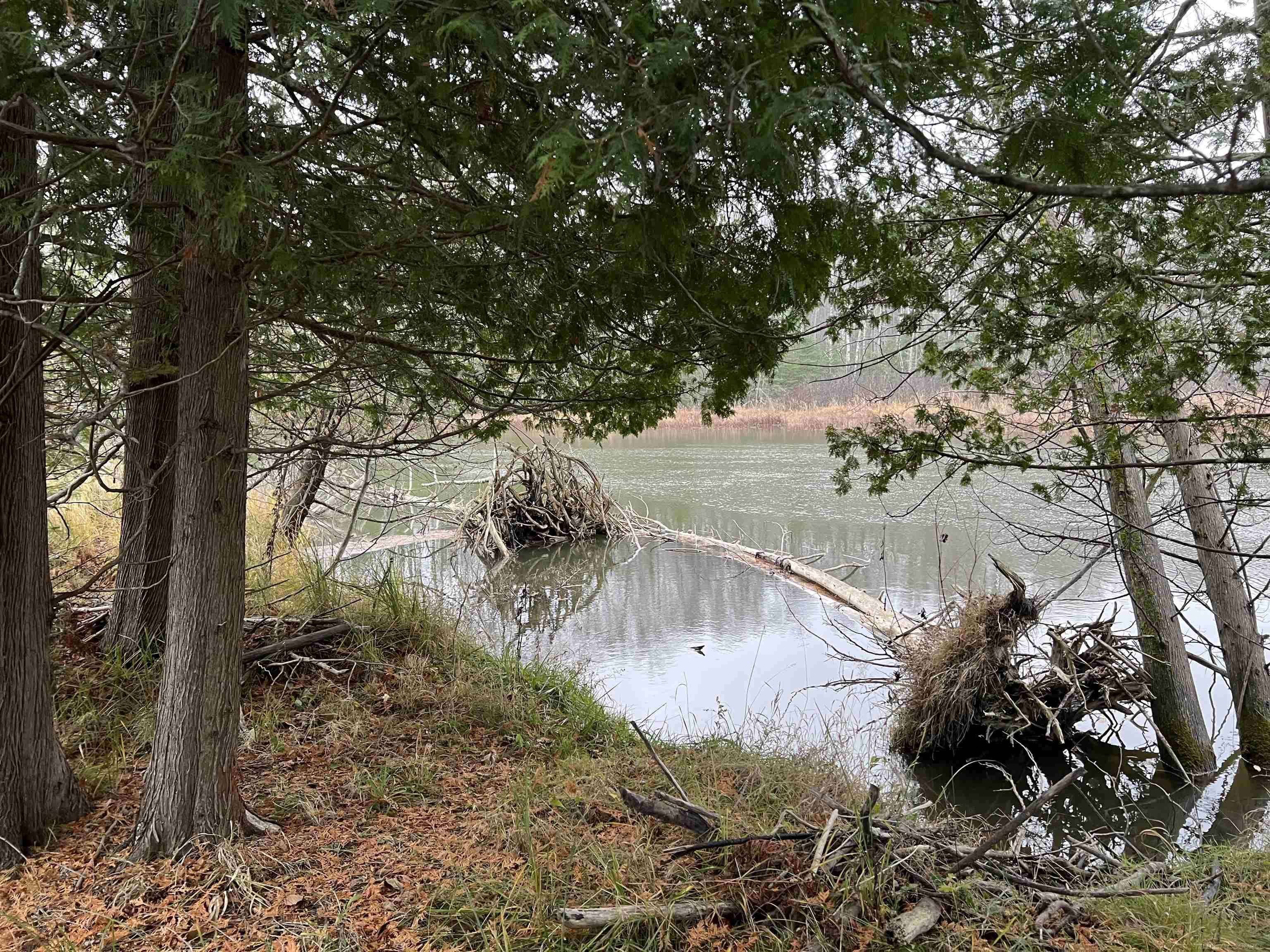 Long Rapids Rd Property Photo