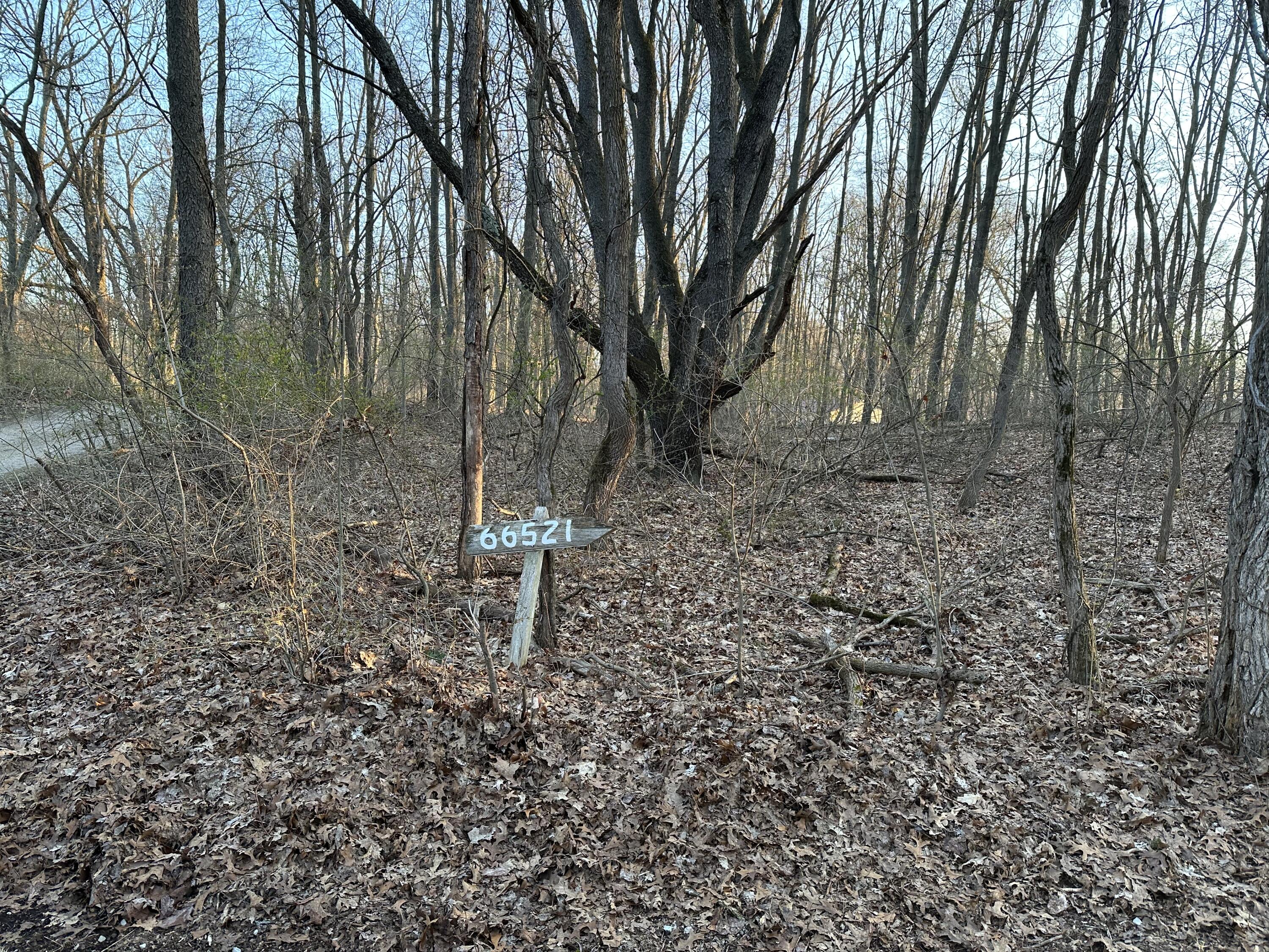 66521 Conrad Road Property Photo 47