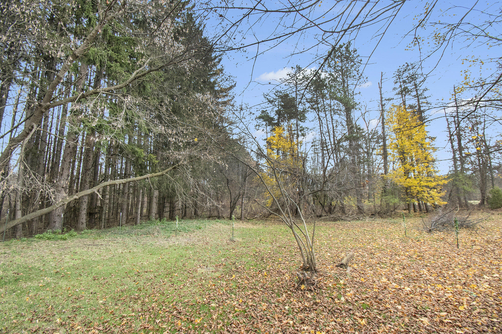 4491 S Jackson Road Property Photo 15