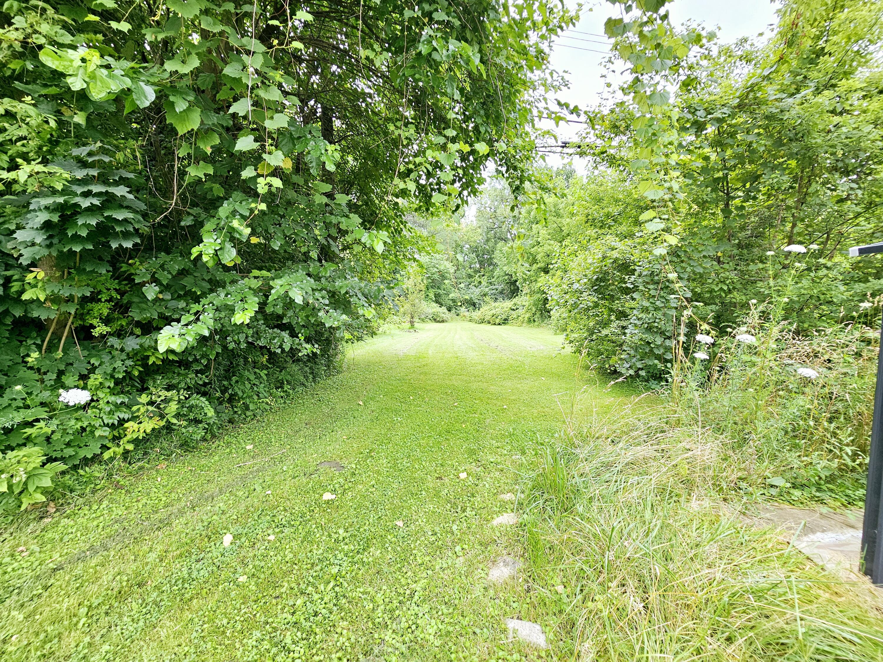 21501 Goddard Road Property Photo 11