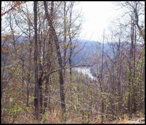 Lot 539 Whistle Valley Rd Property Photo