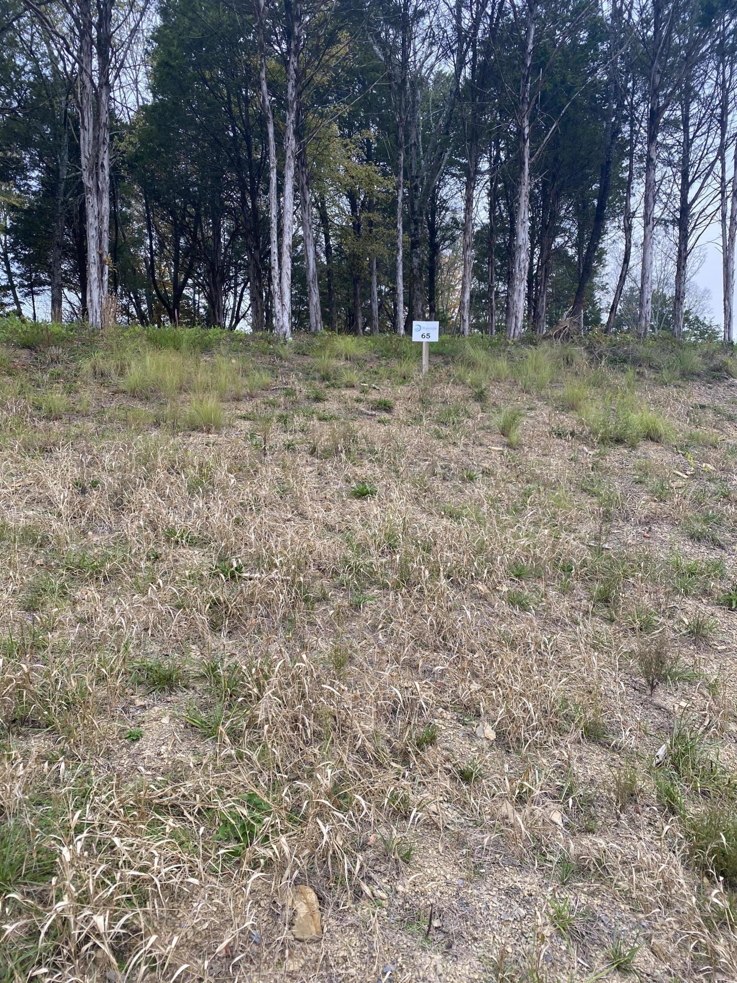 Lot 65 Waterside On Douglas Property Photo 1