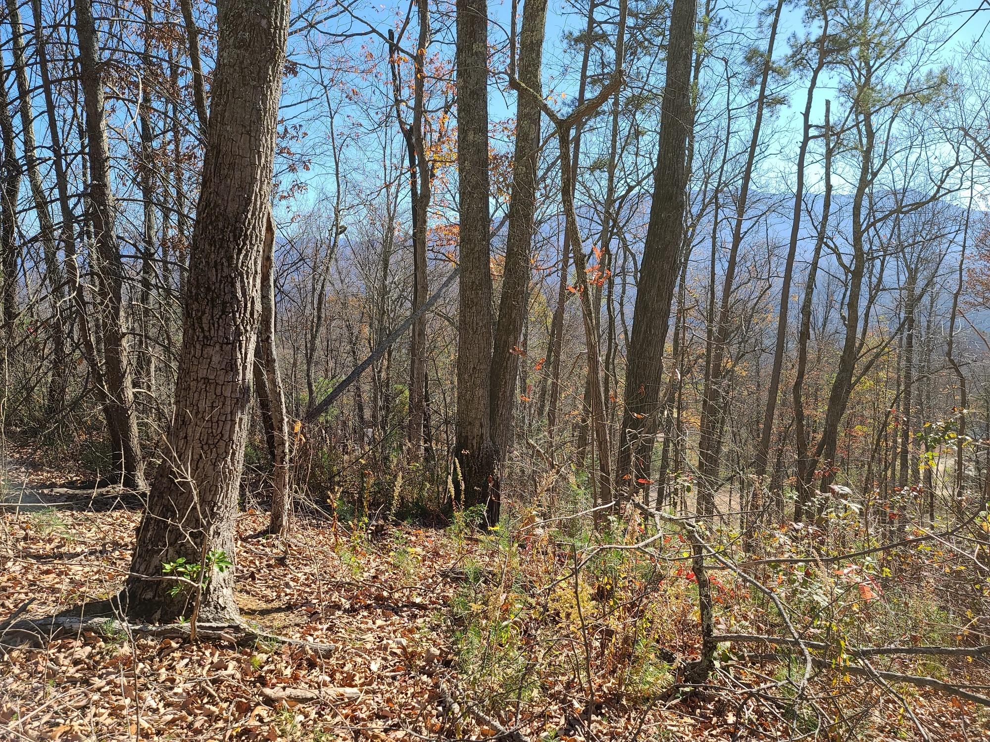 Smoky Court Property Photo