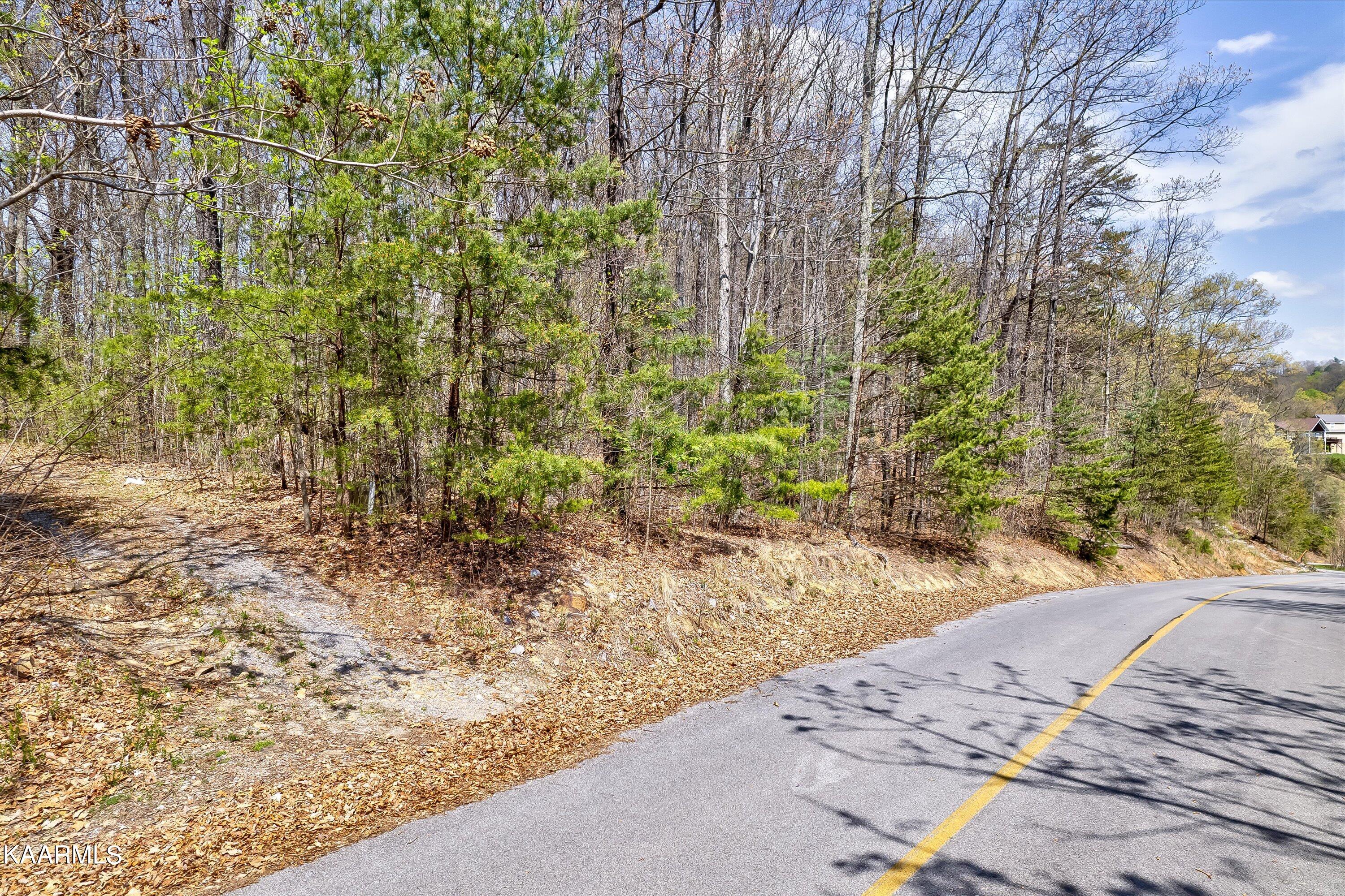 Lot 125e Settlers View Lane Property Photo