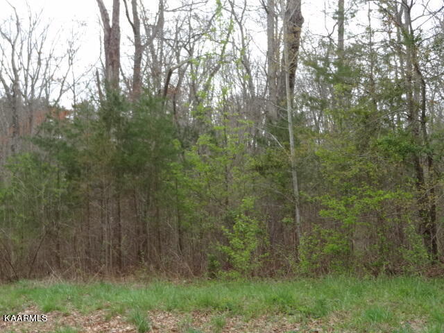 York Lane Property Photo