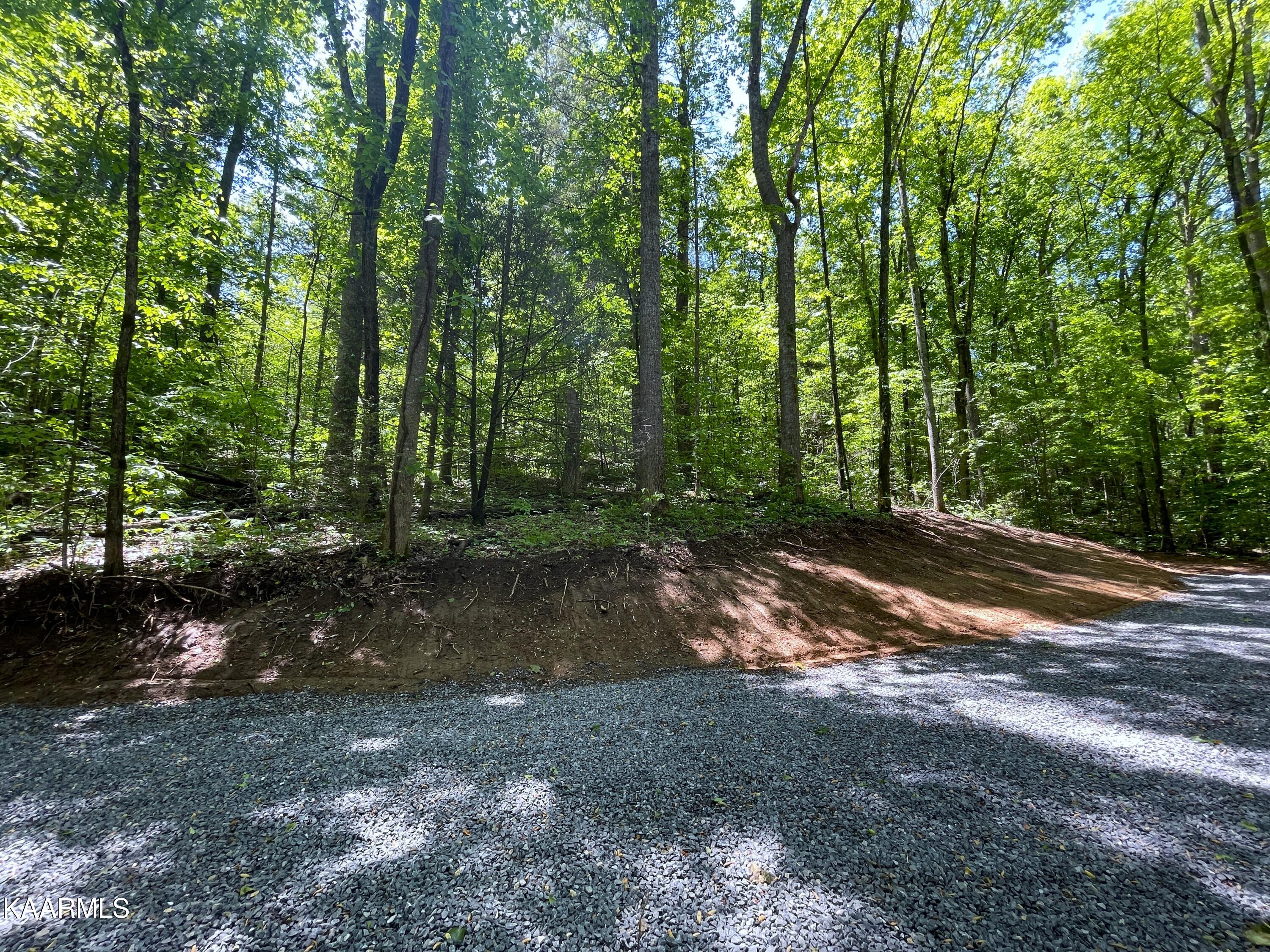 Cosby Hwy Property Photo 1