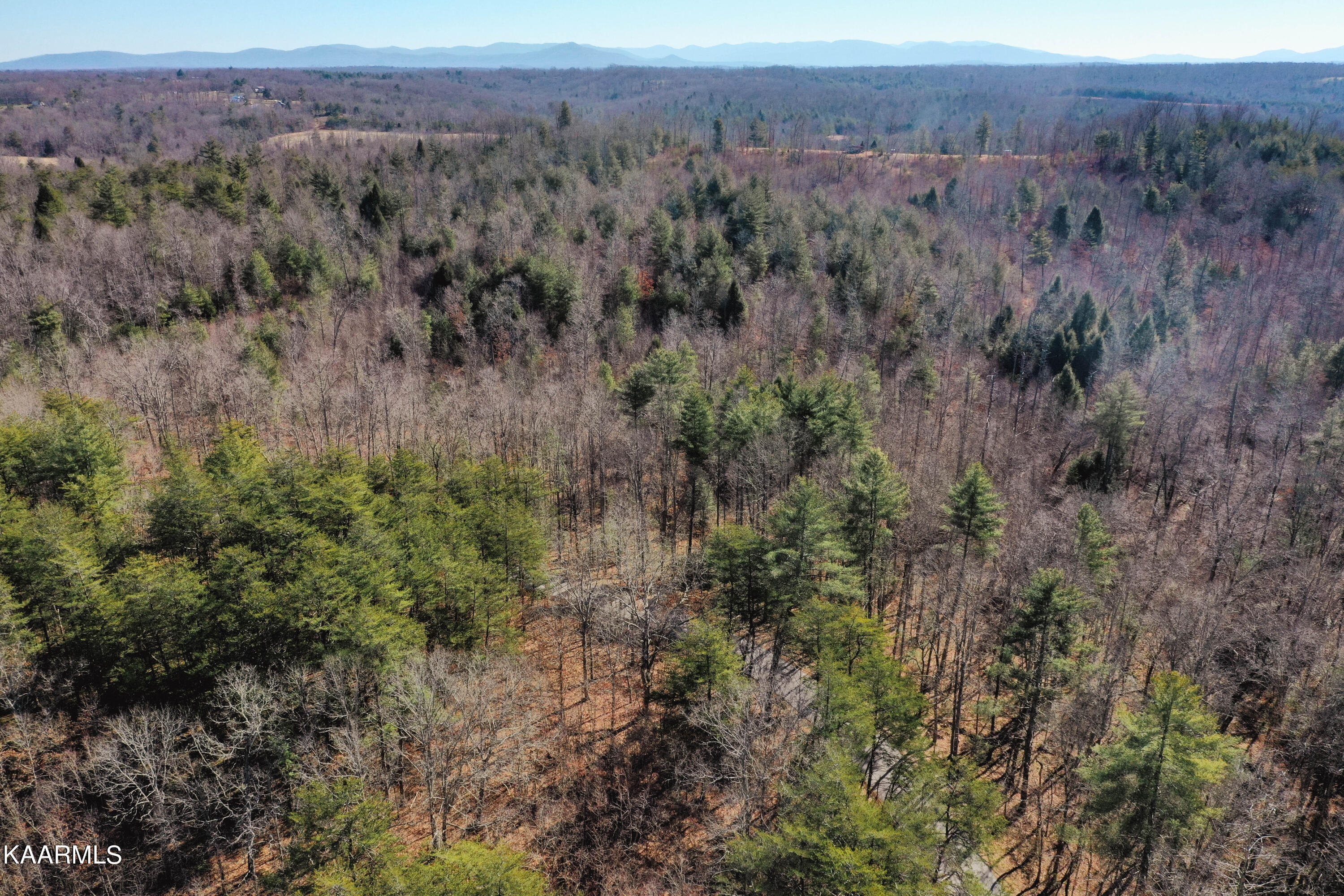 Twin Bridge Rd Property Photo 2