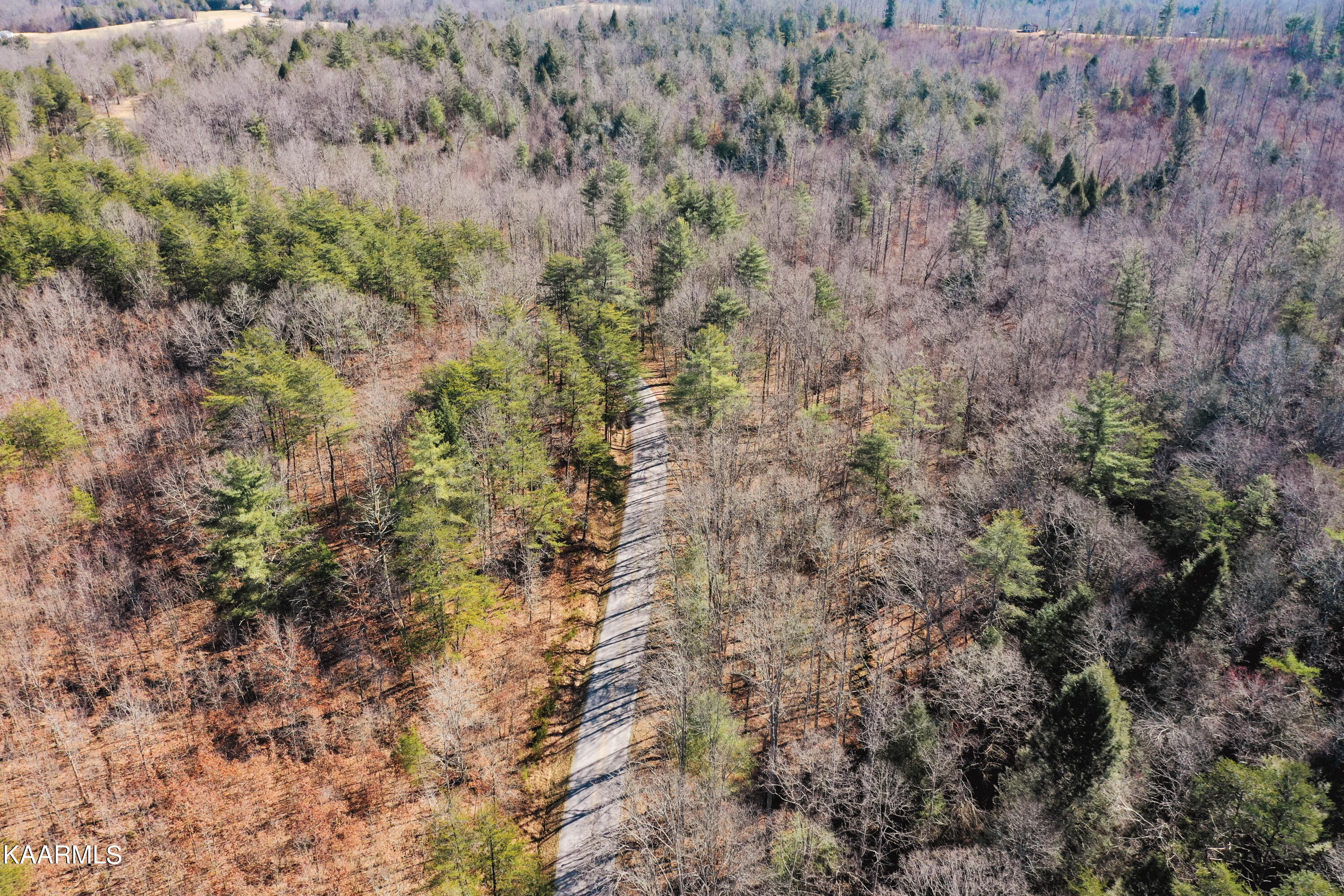 Twin Bridge Rd Property Photo 3