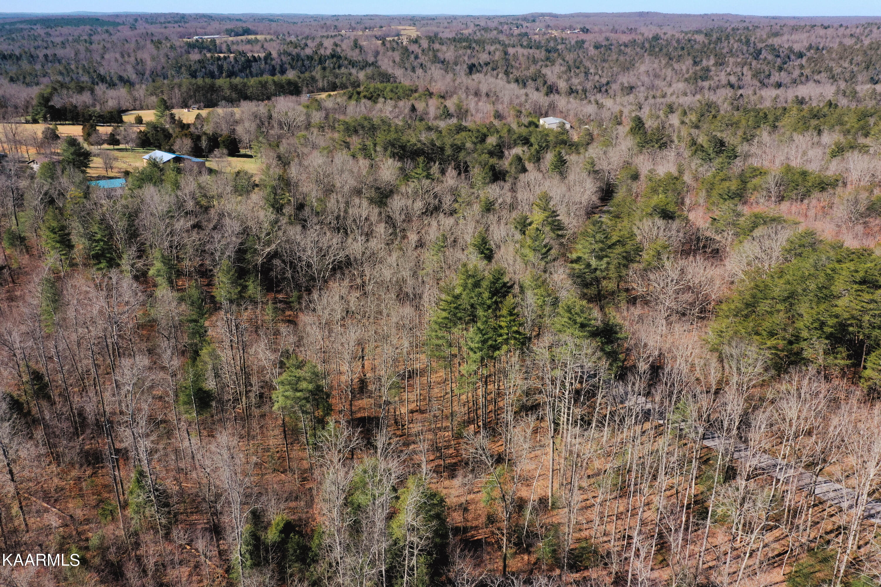 Twin Bridge Rd Property Photo 4