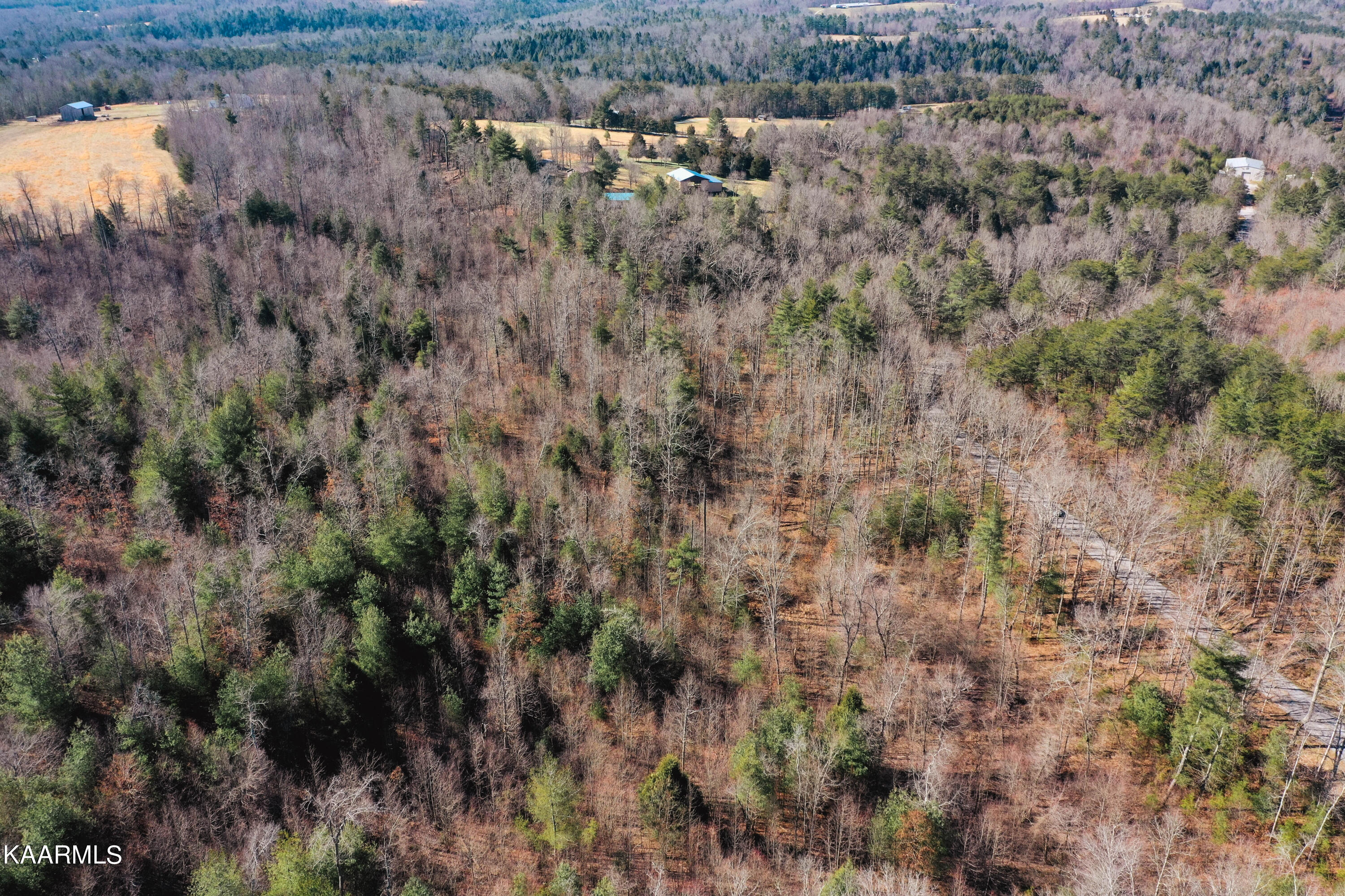 Twin Bridge Rd Property Photo 6