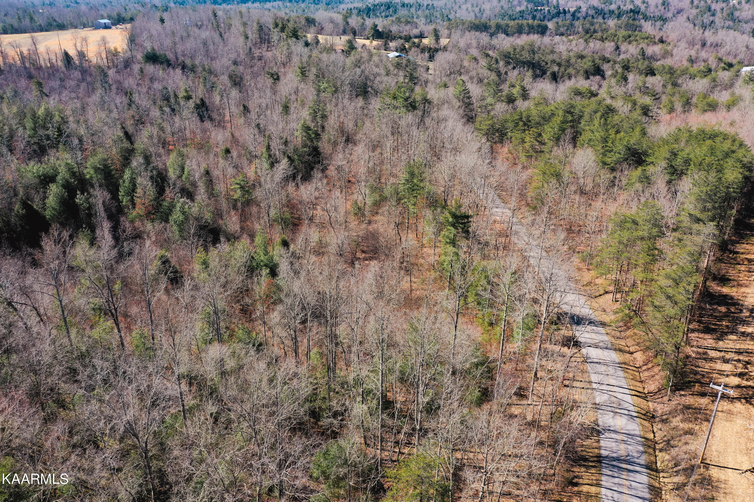 Twin Bridge Rd Property Photo 7