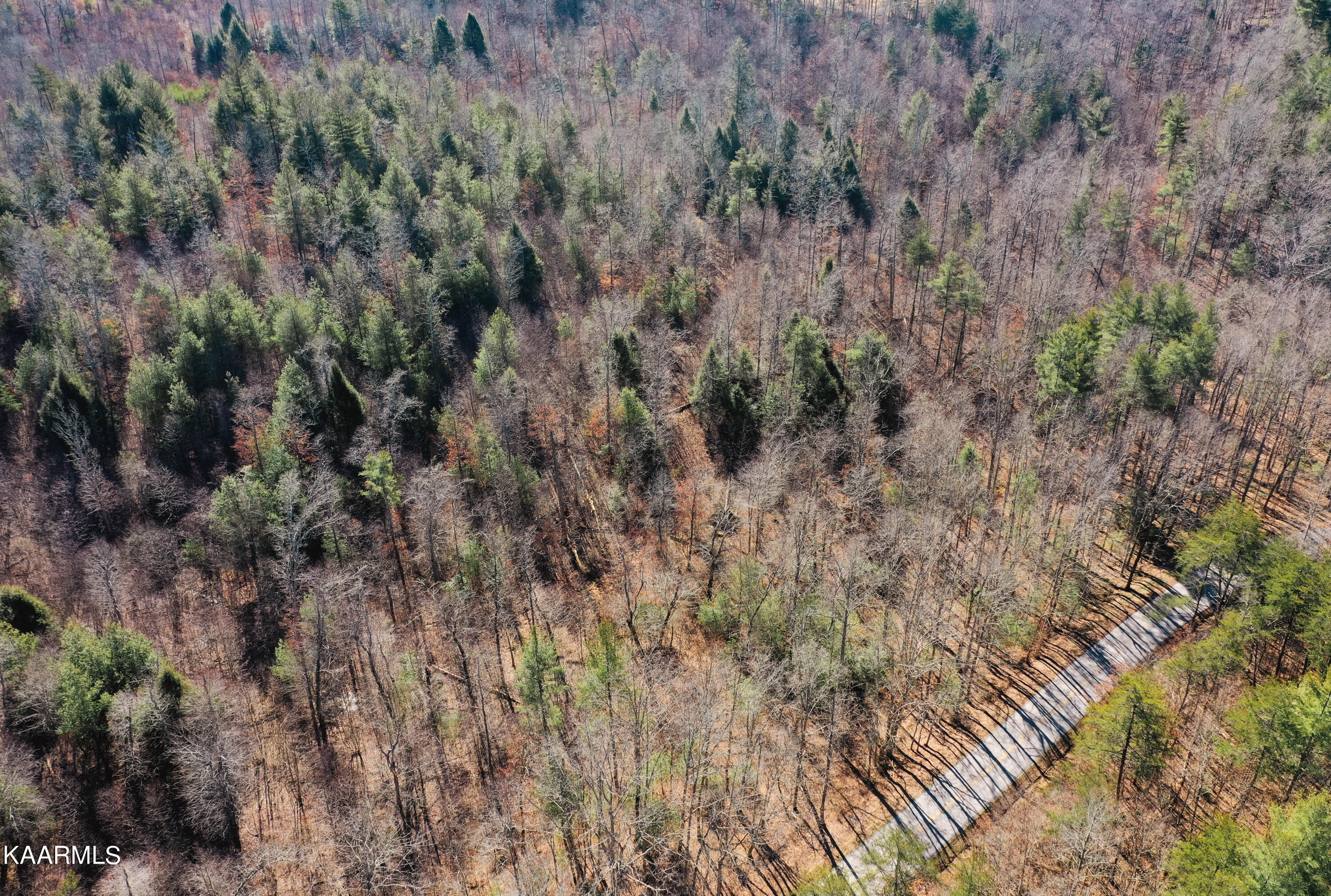 Twin Bridge Rd Property Photo 8