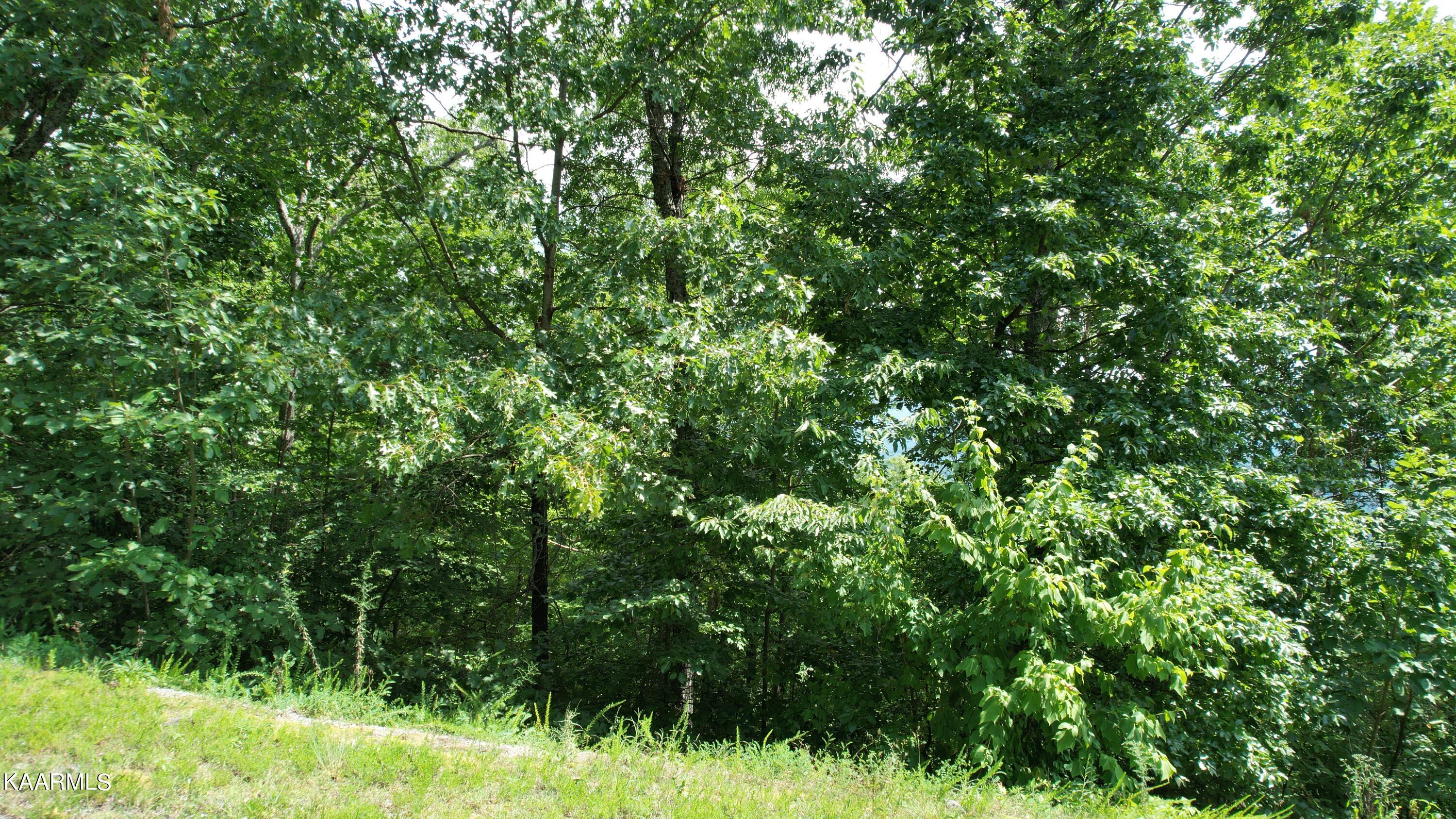 118e Settlers View Lane Property Photo 12