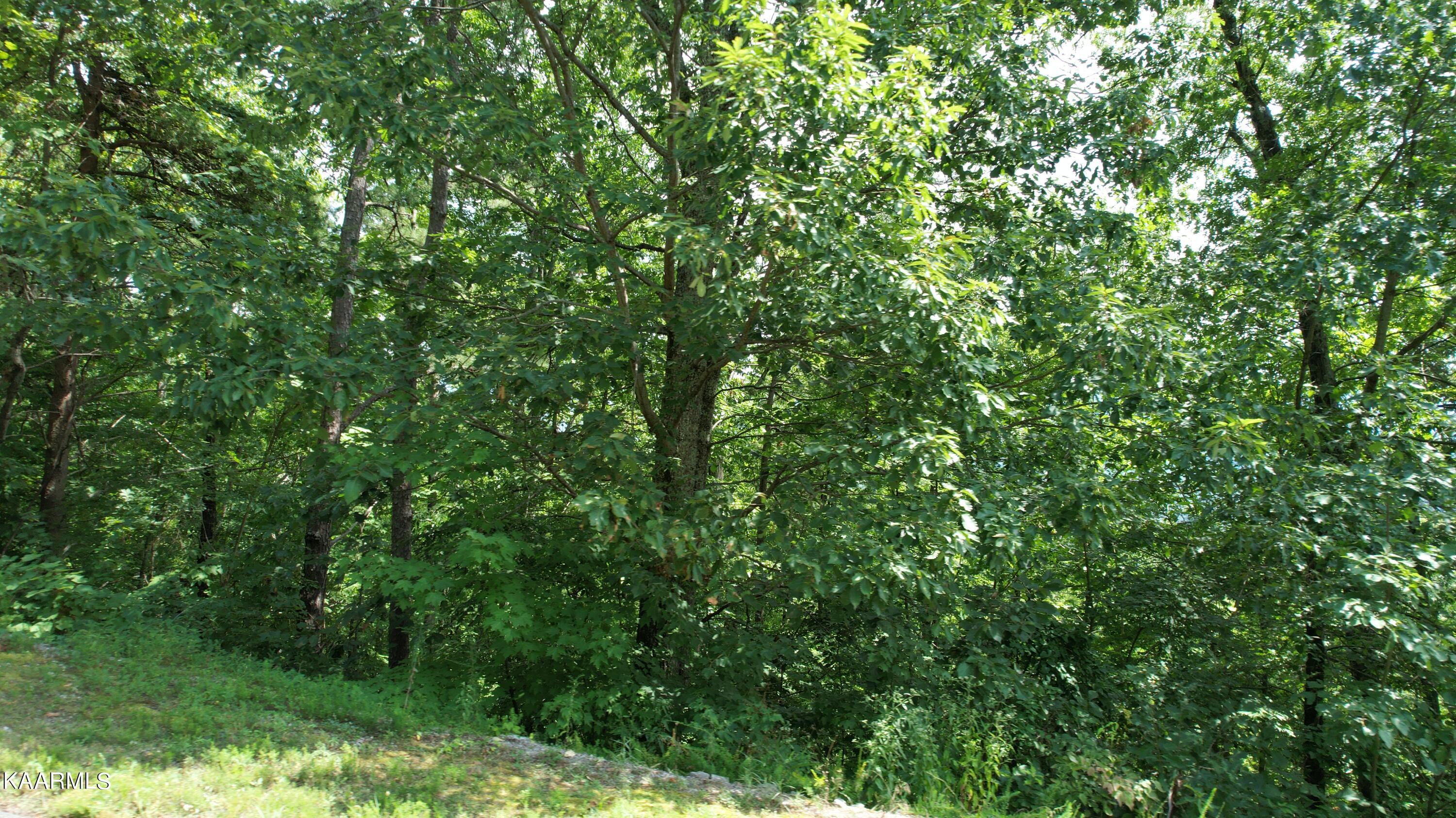 118e Settlers View Lane Property Photo 13
