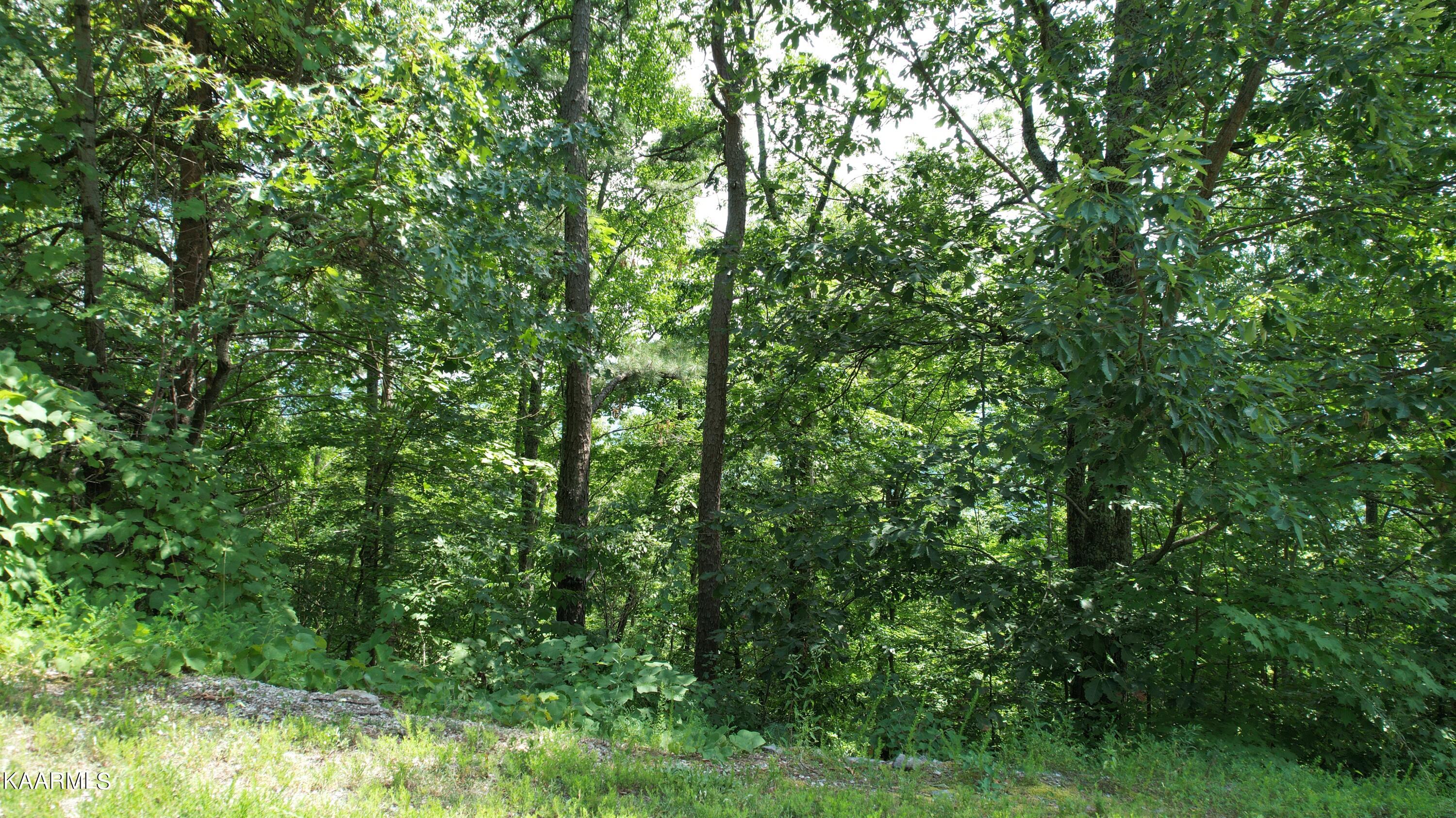 118e Settlers View Lane Property Photo 14