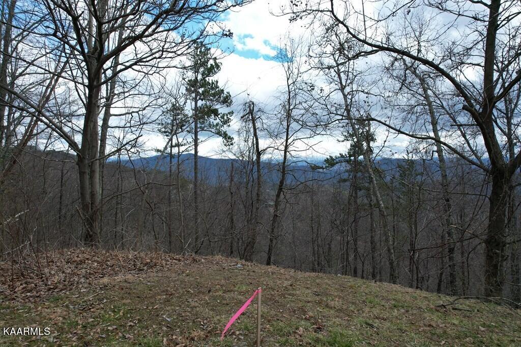 118e Settlers View Lane Property Photo 21