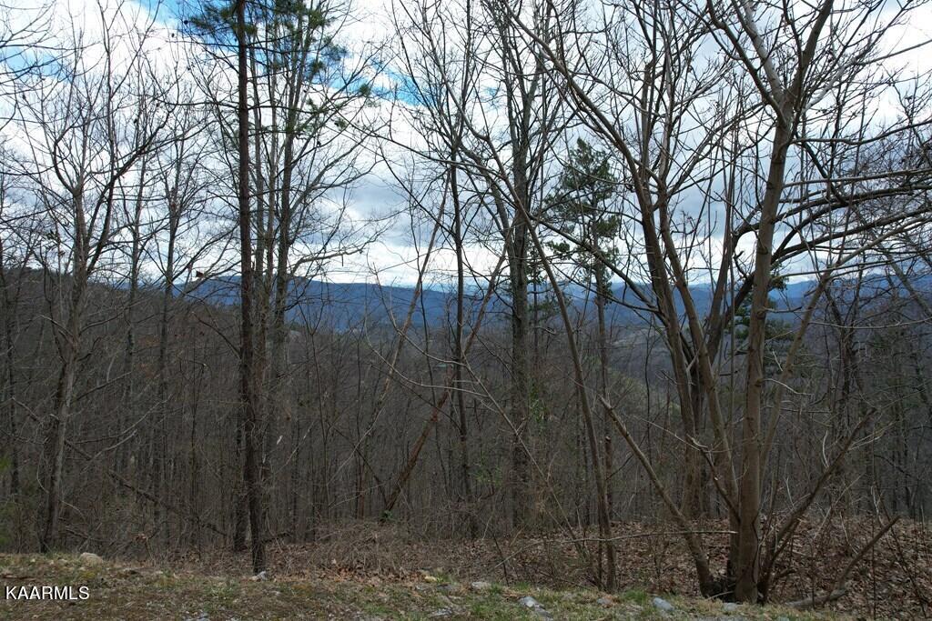 118e Settlers View Lane Property Photo 22