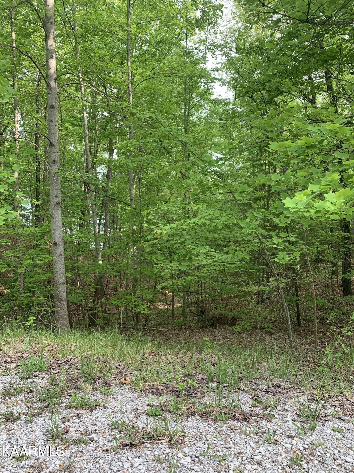 36 Milnor Terrace Property Photo