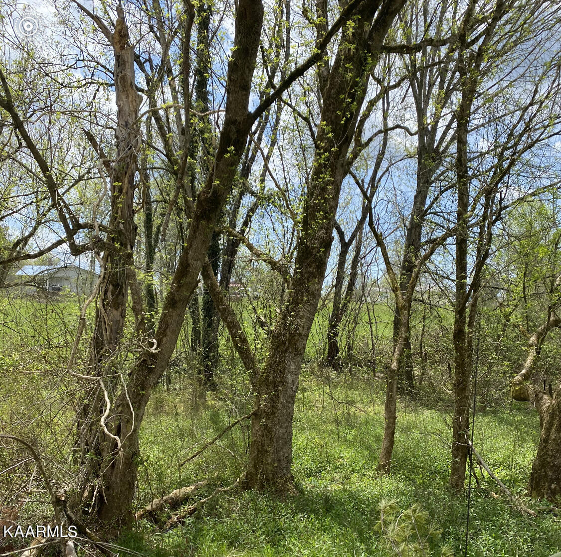 Tbd Vista View Drive Property Photo 1