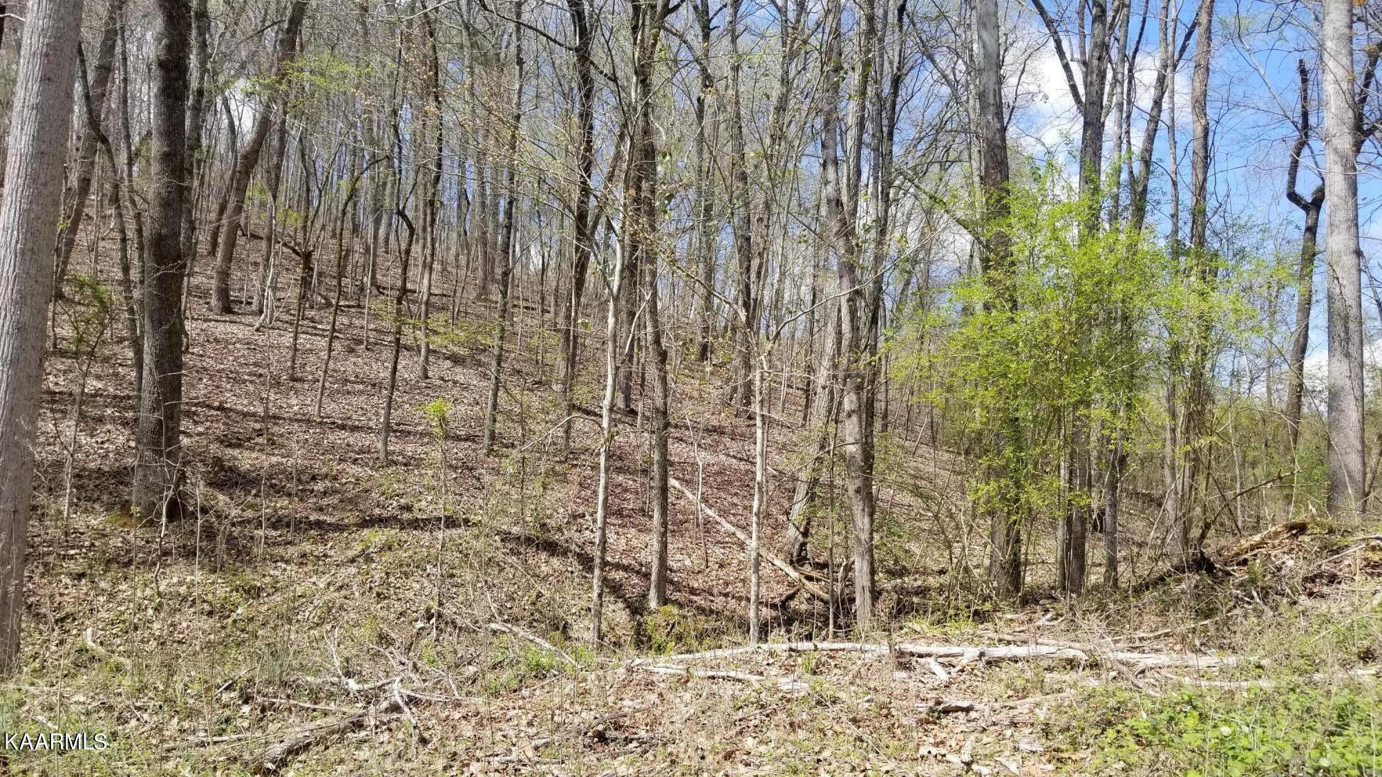 Lot 286 Maple Drive Property Photo