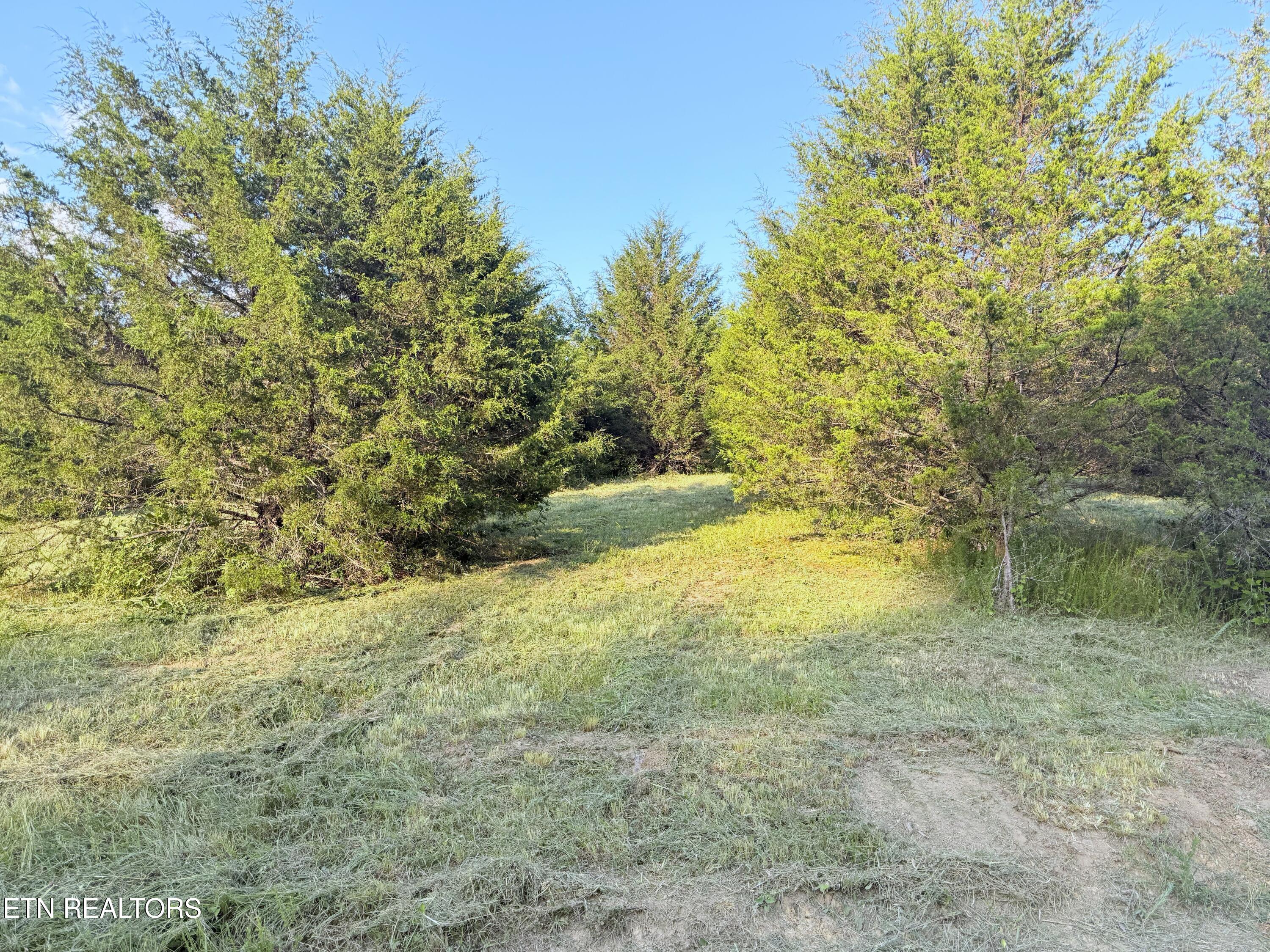 790 Lonesome Pine Rd Property Photo 4