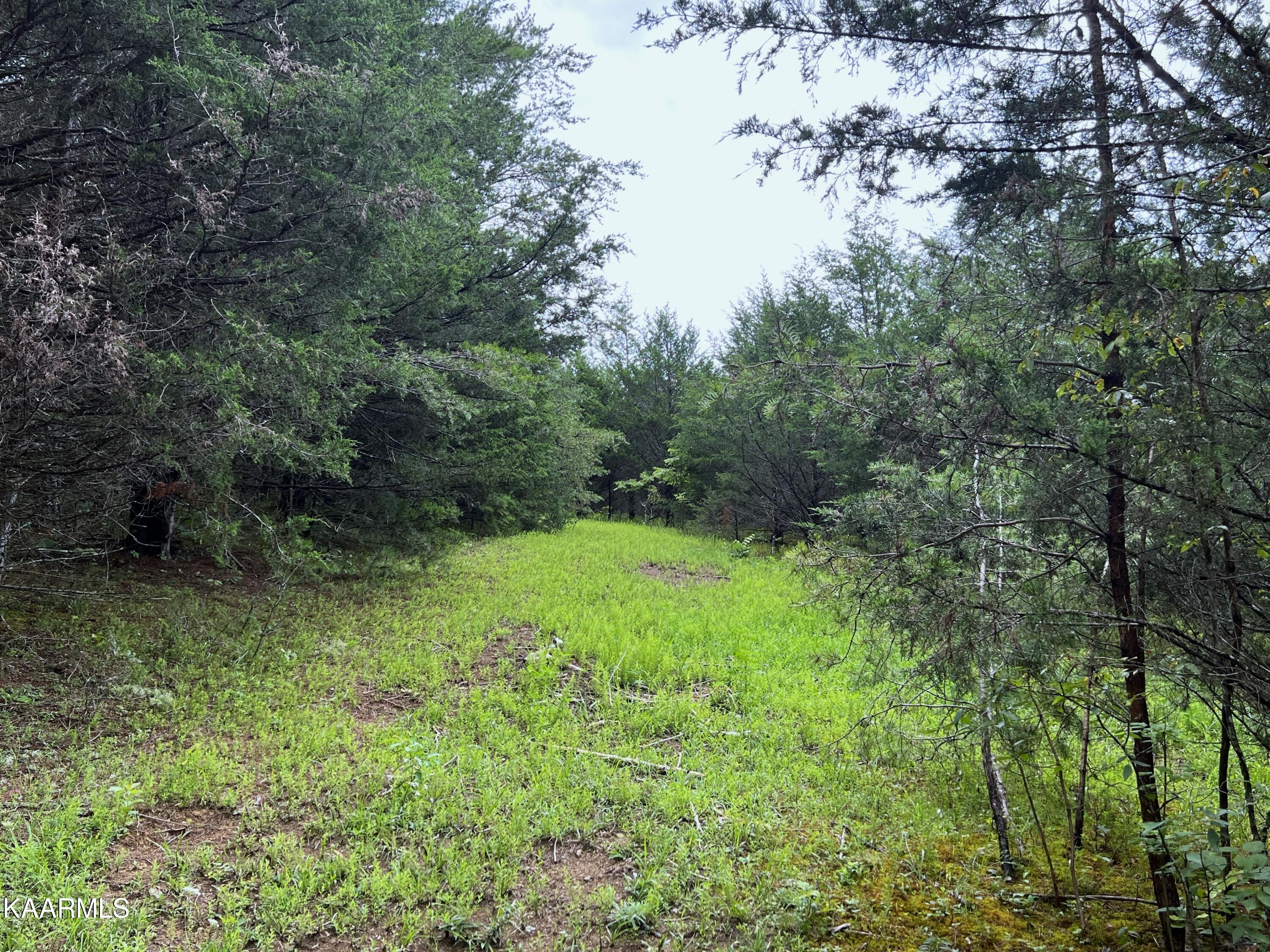 790 Lonesome Pine Rd Property Photo 14