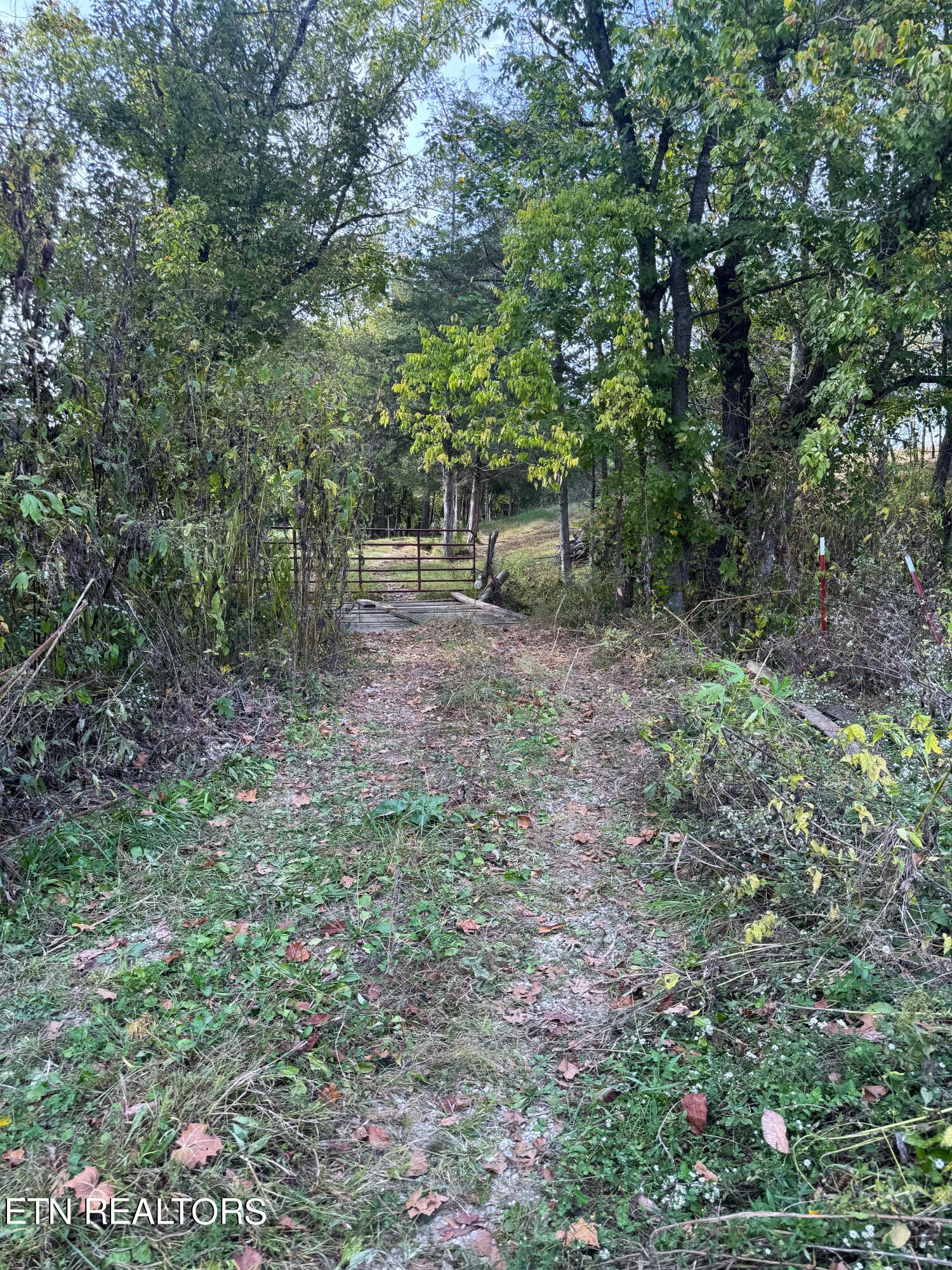 790 Lonesome Pine Rd Property Photo 17
